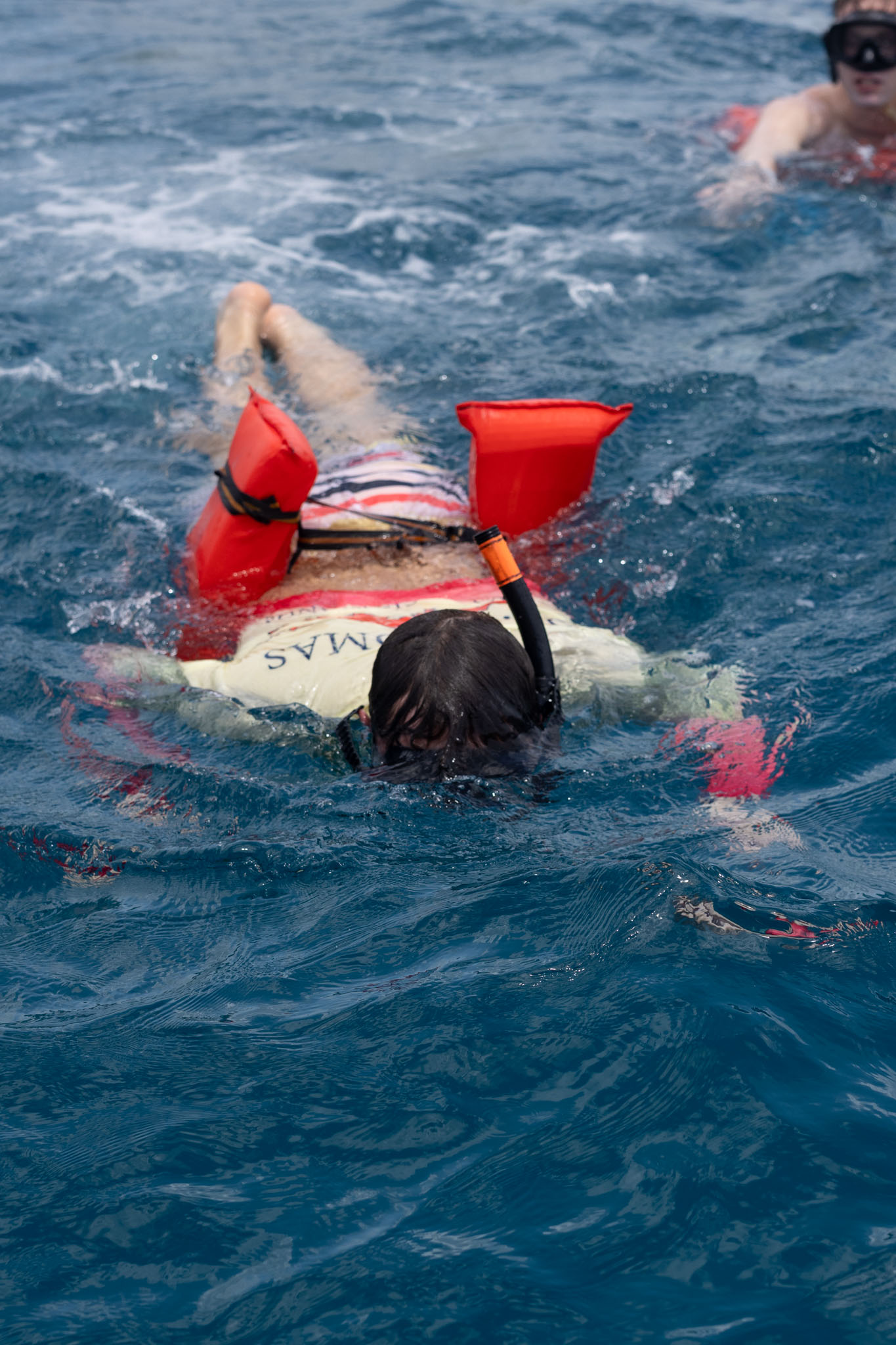 Turtle Break - admit one adult