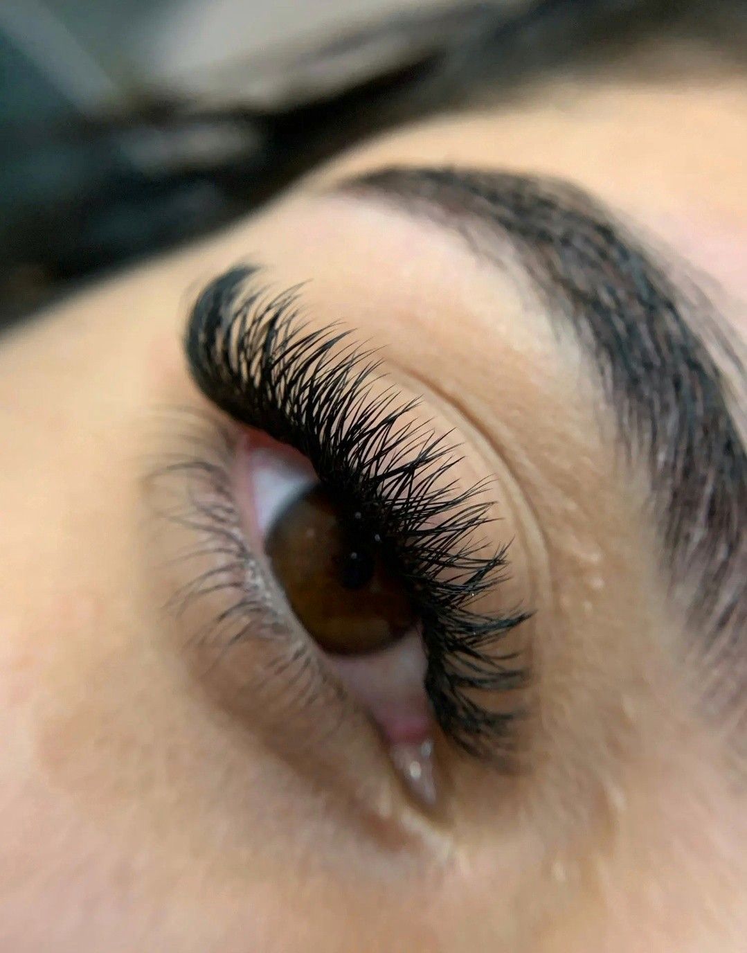 Extensiones de pestañas volumen egipcio