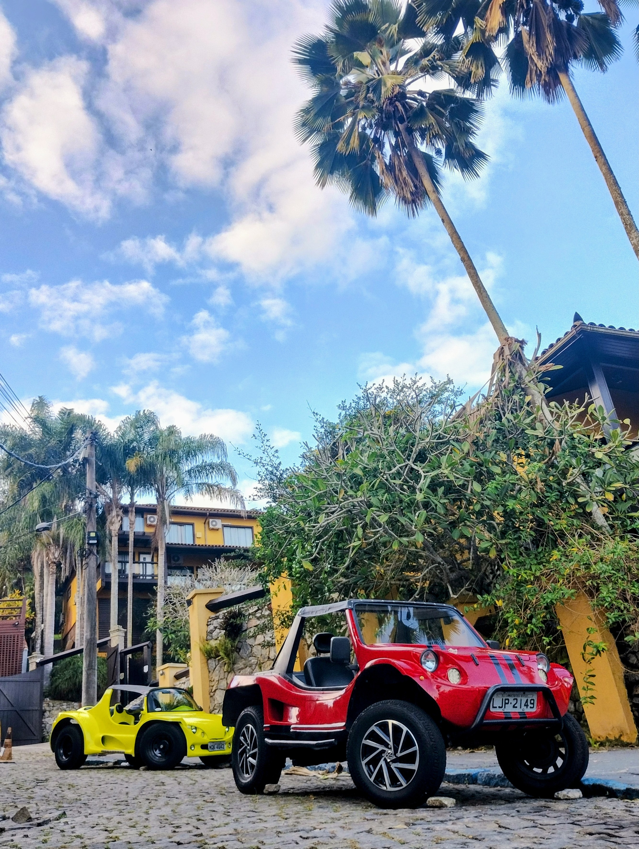 Paseo en Buggy con Guia