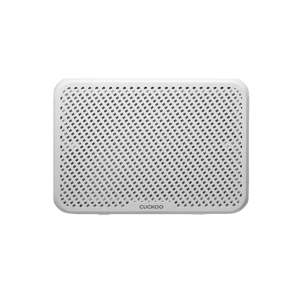 Ultra-Slim Wall-Mounted Air Purifier (CAC-AA0910FW)