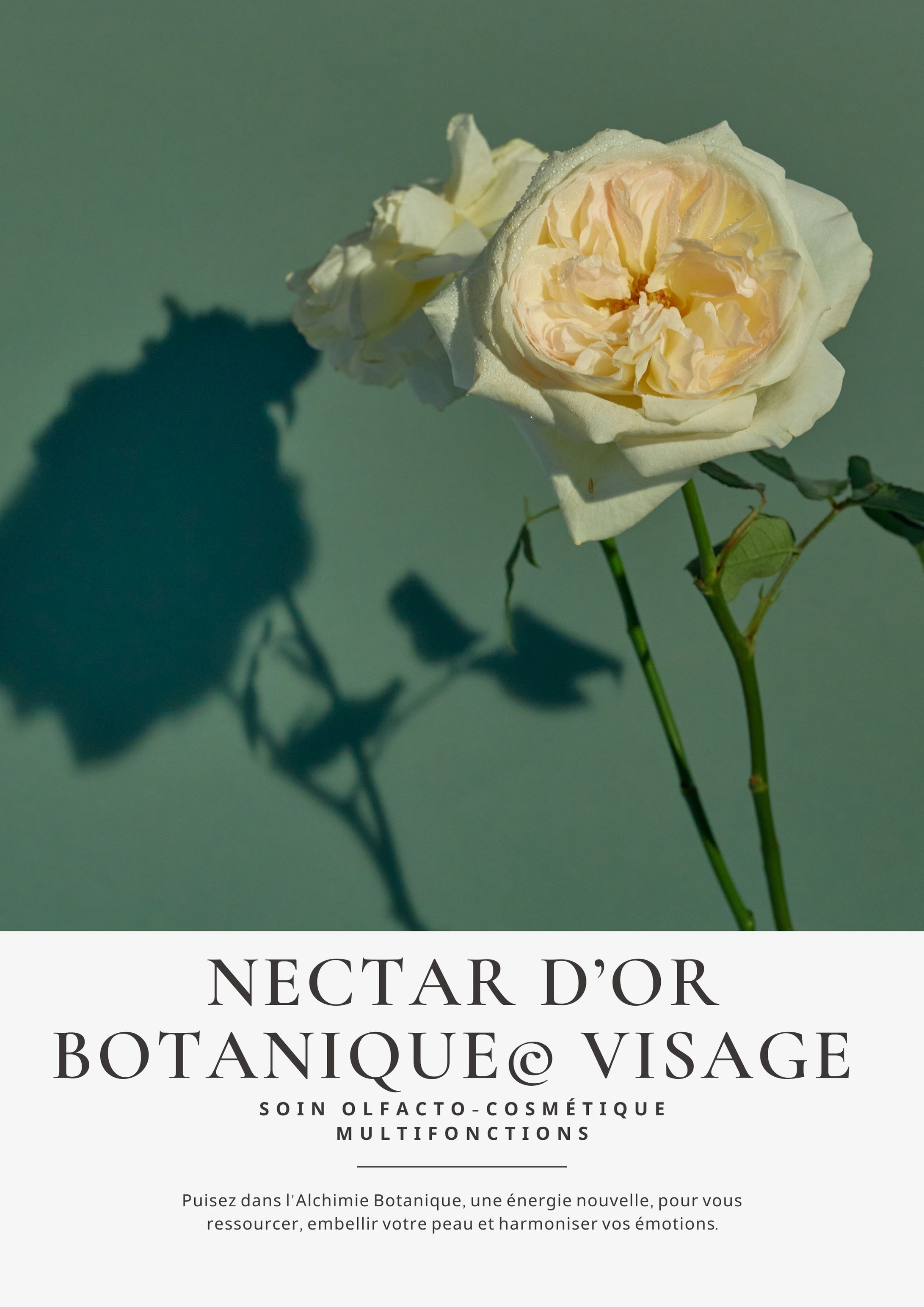 Nectars d'Or Botanique VISAGE - Cabine