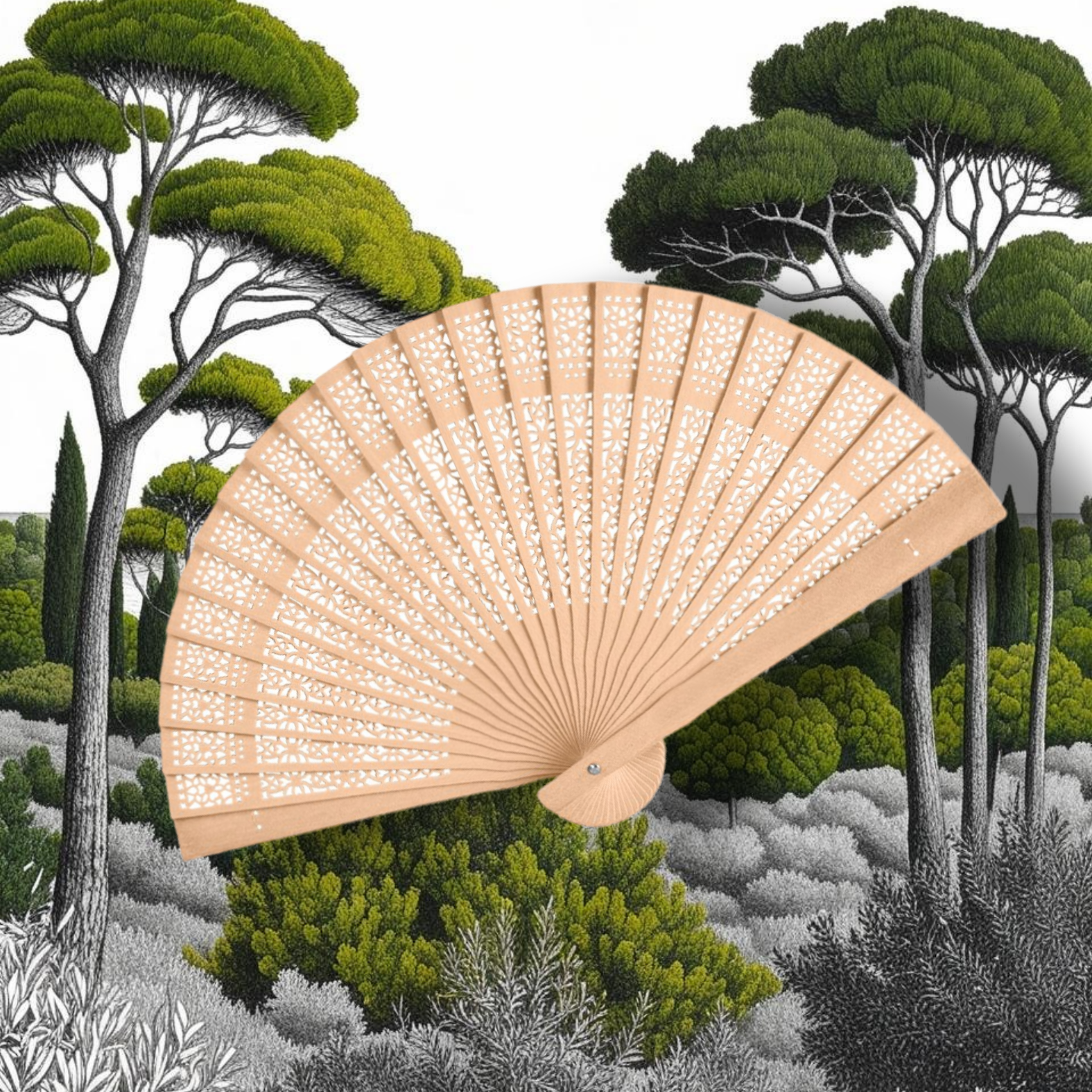 Éventail Olfacto