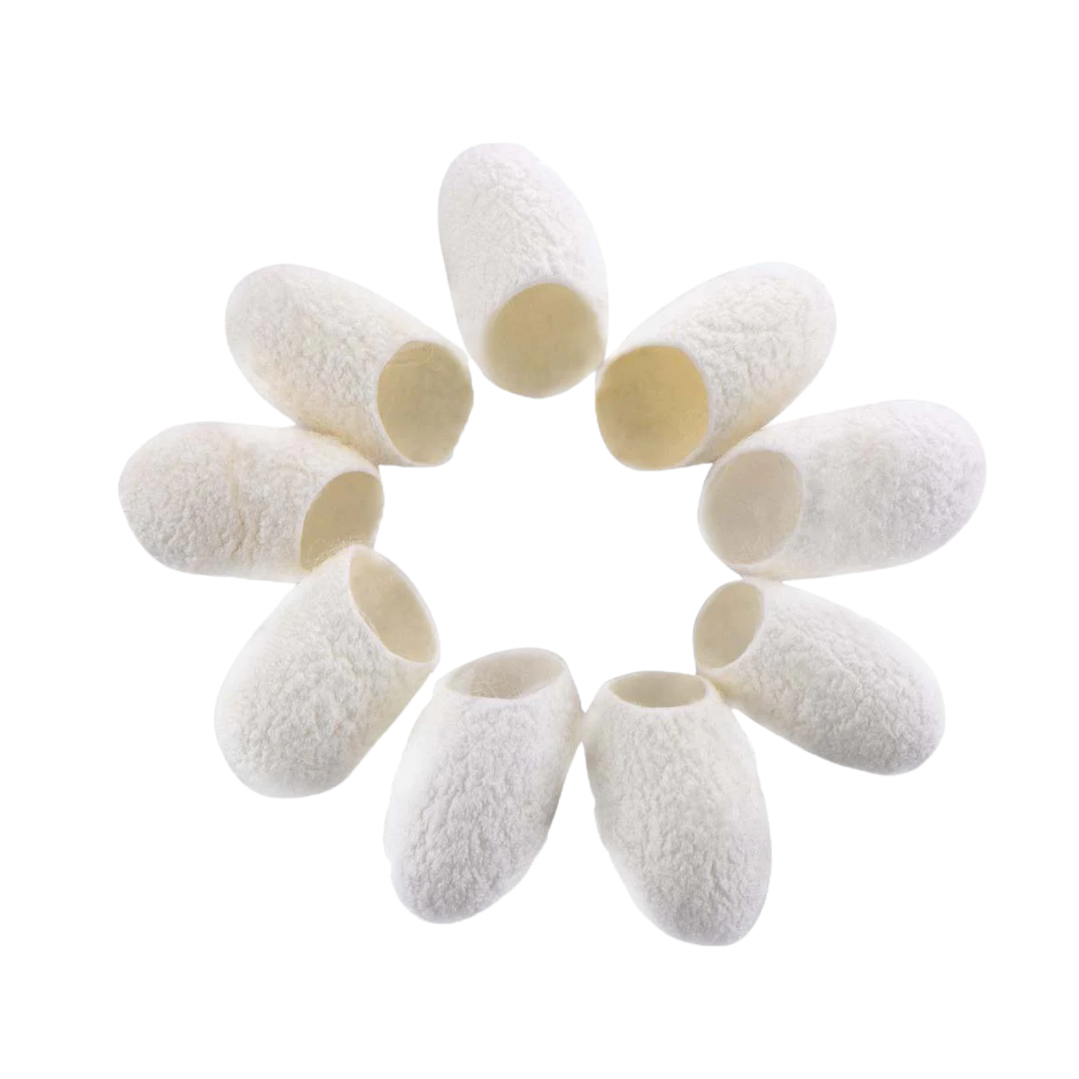 Cocons de soie