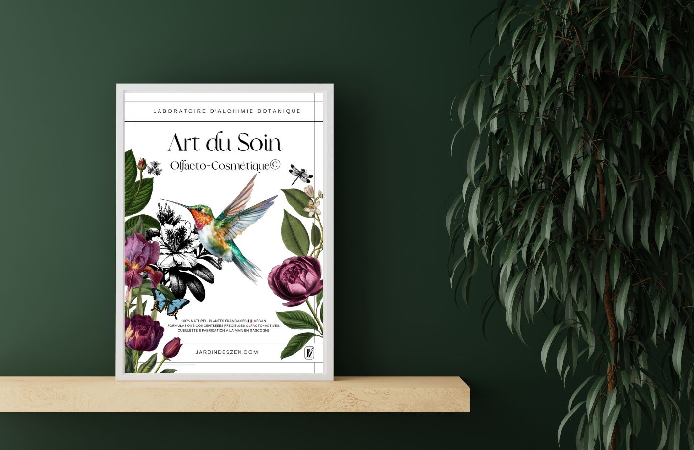 Colibri art du soin 