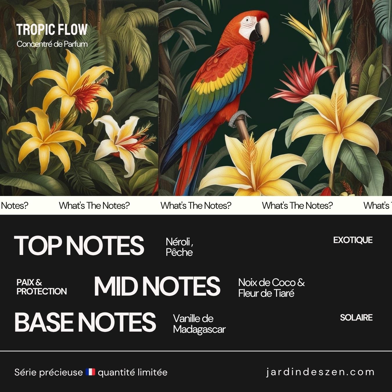 Tropic Flow - concentré parfum sans alcool 