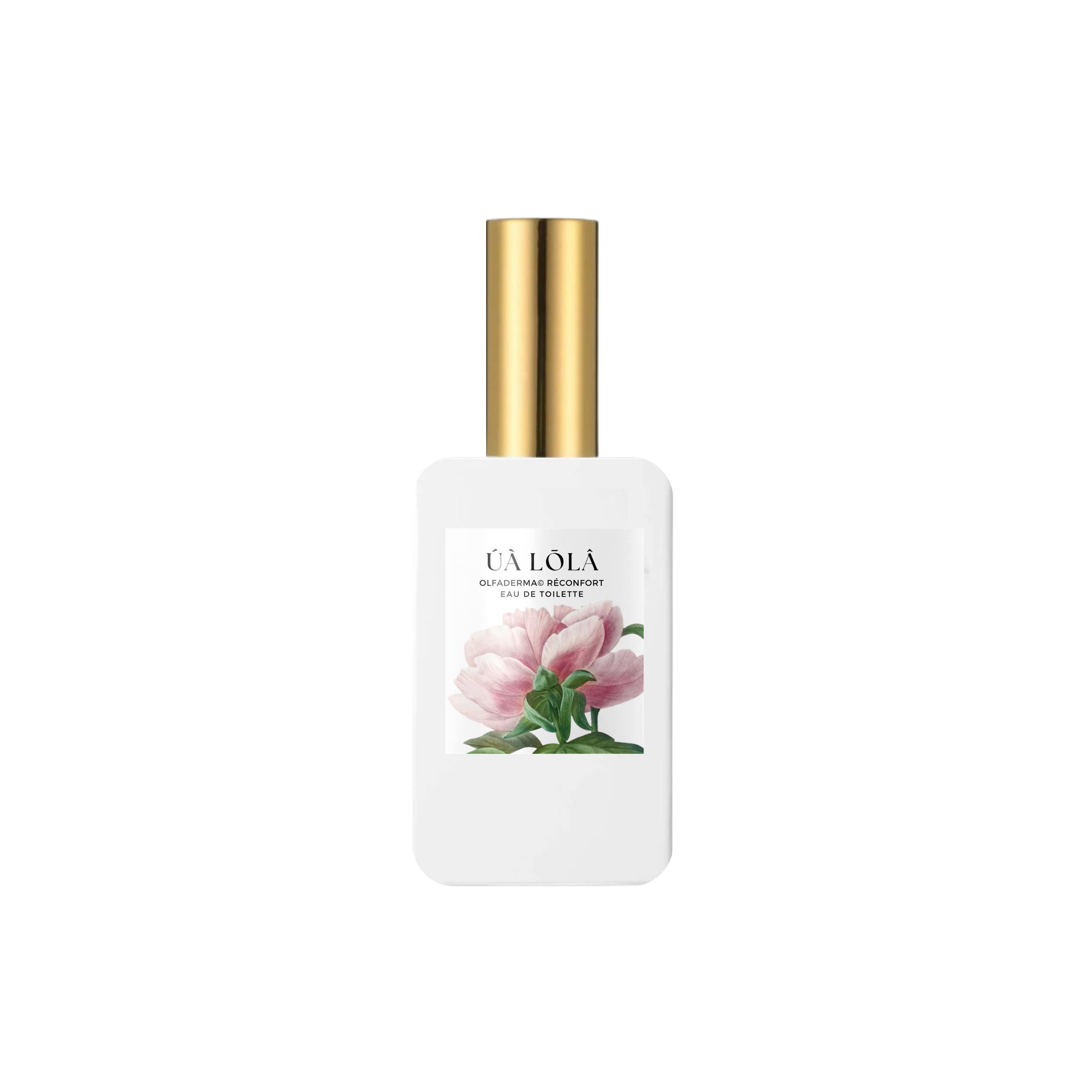 UA LOLA - Pivoine