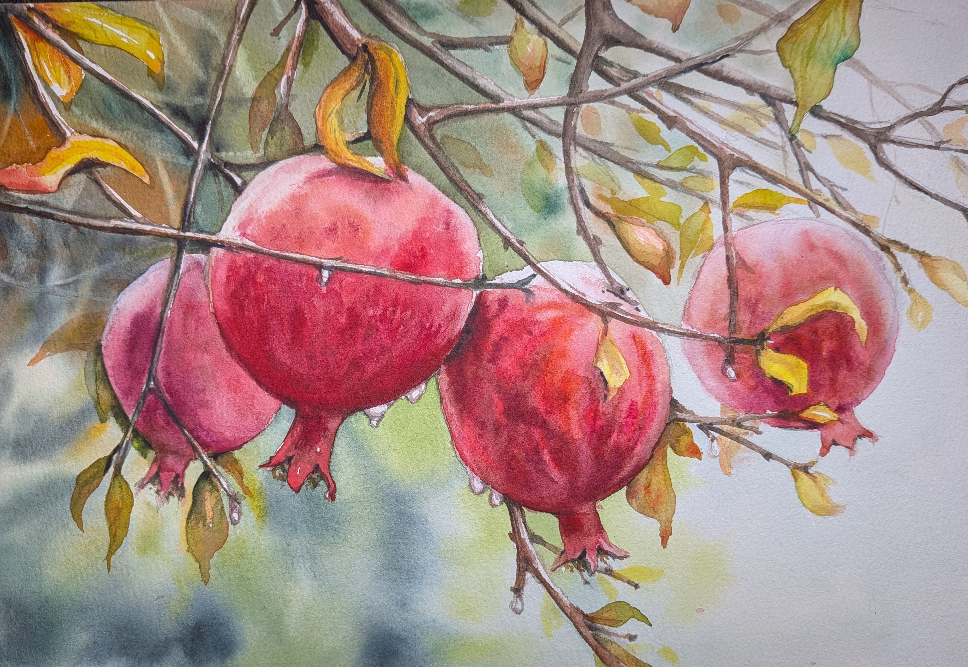 Pomegranates smile at me