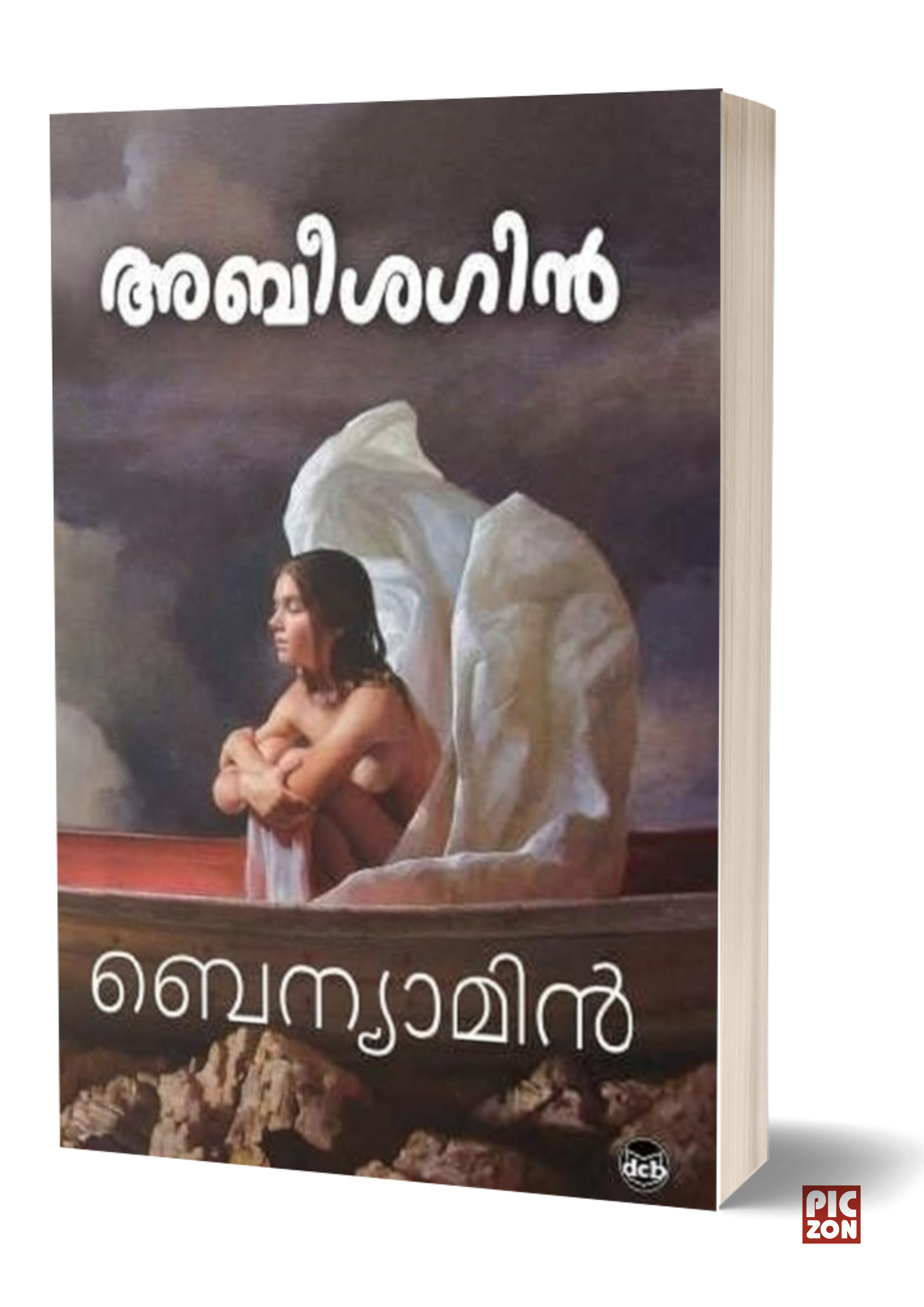 Abeesagin (അബീശഗിന്)