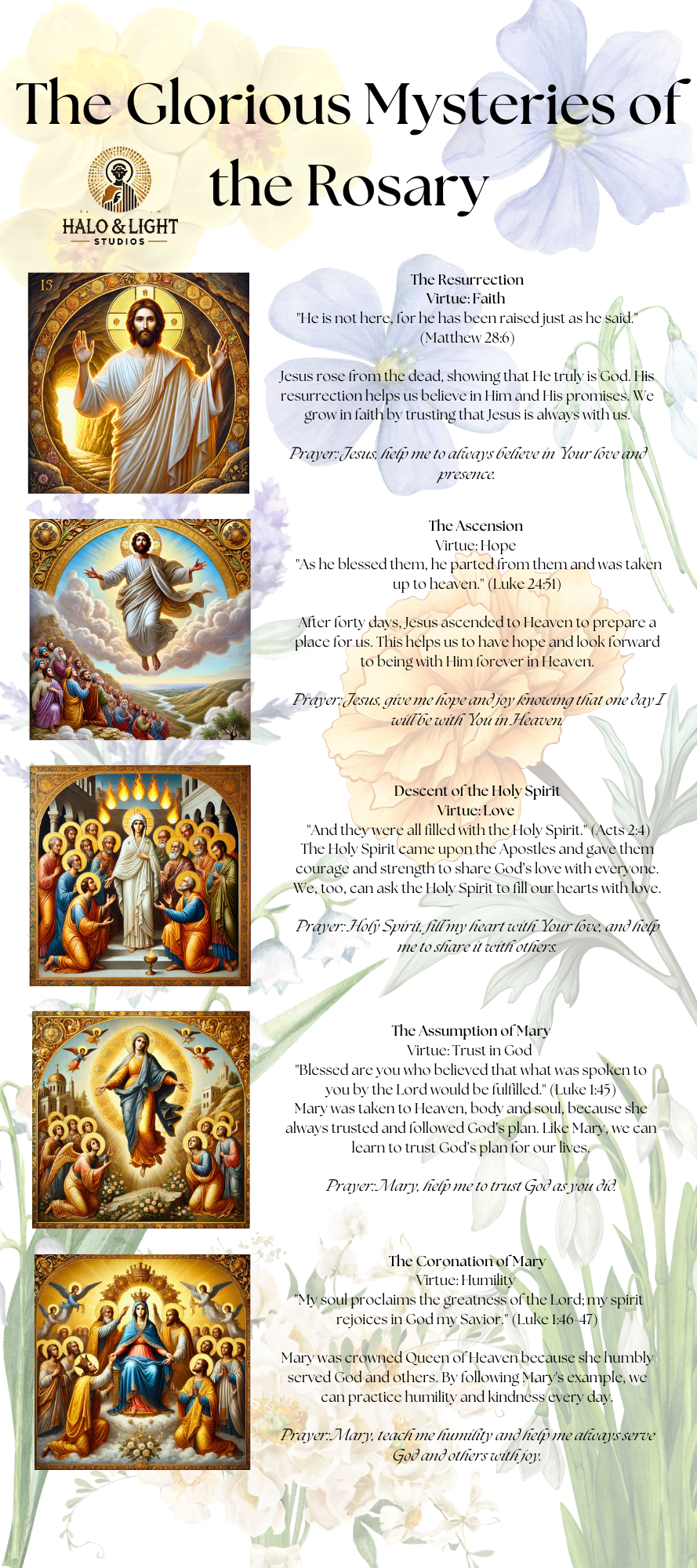 The Complete Rosary Mysteries Infographic