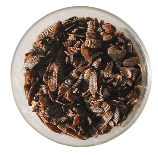 WHOLE DRIED LARVAE