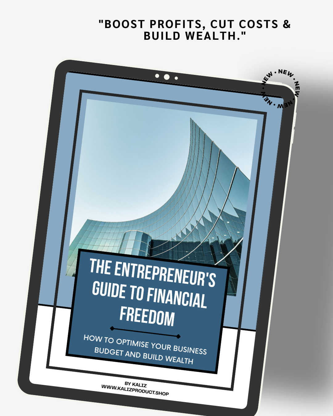 The Entrepreneur's Guide to Financial Freedom
