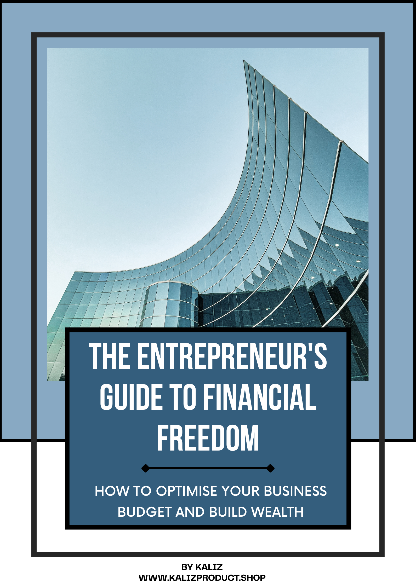The Entrepreneur's Guide to Financial Freedom