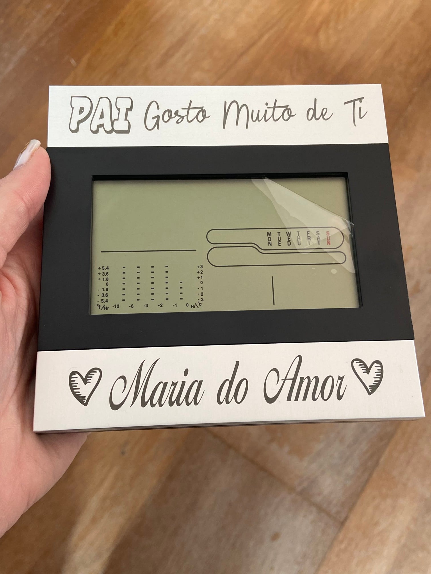 Estação Metereológica Personalizada