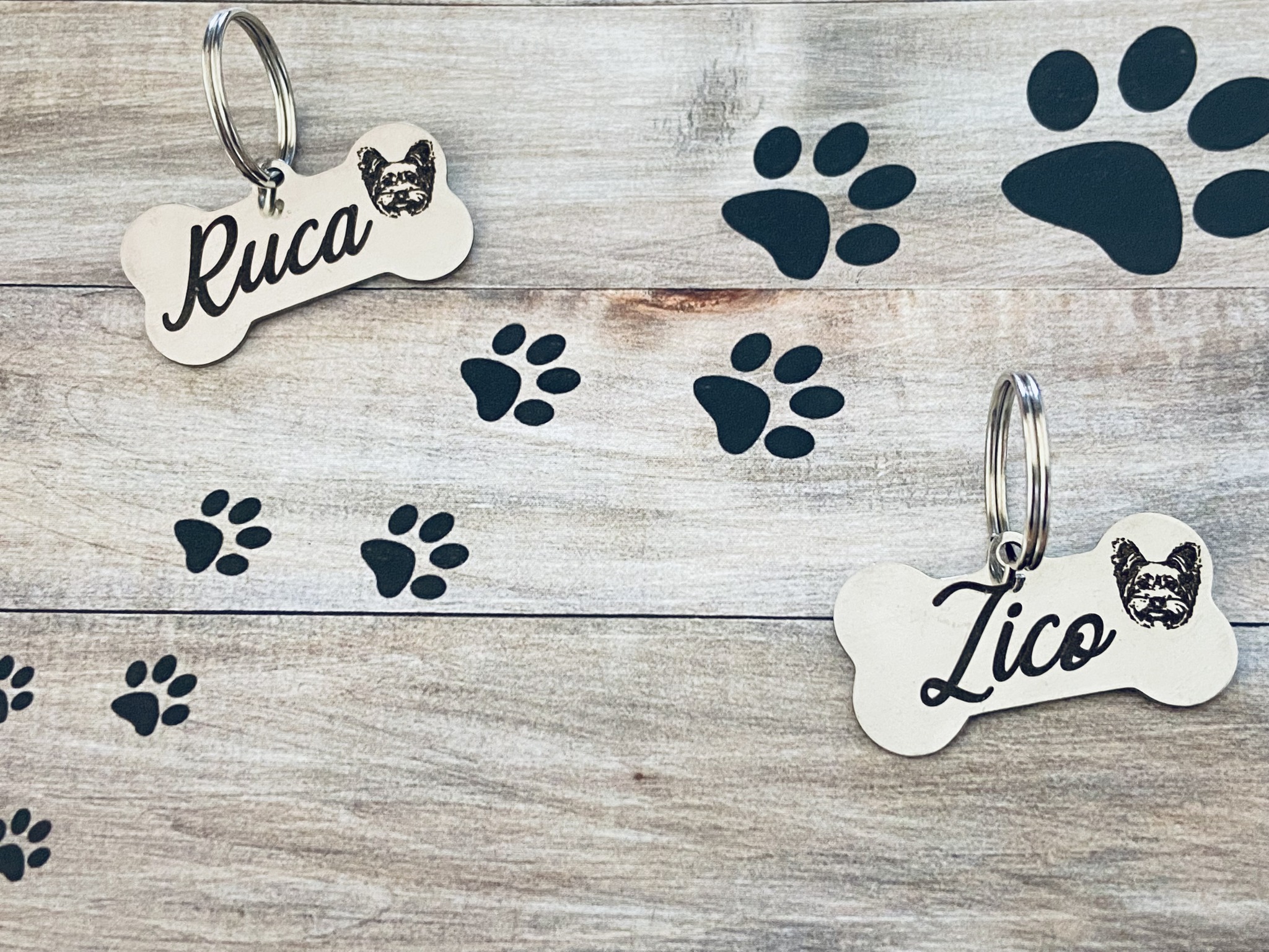 Medalha Identificação Animal