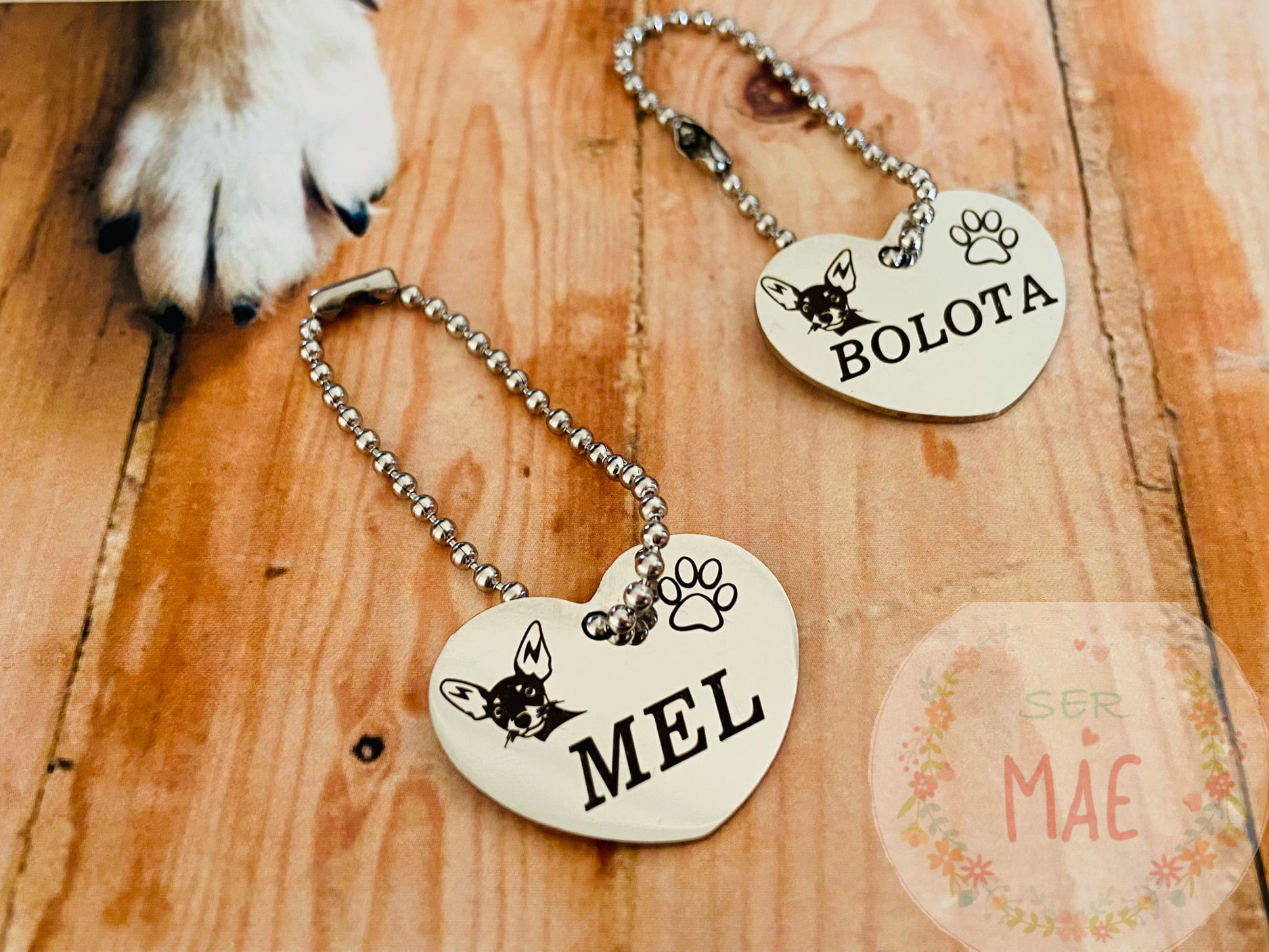 Medalha Identificação Animal