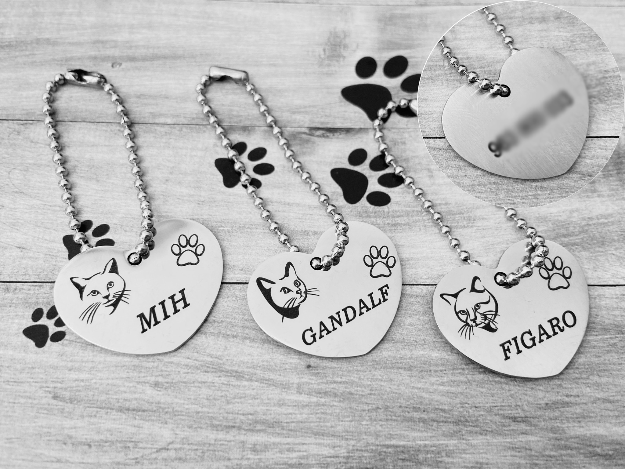 Medalha Identificação Animal