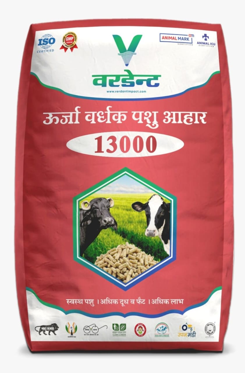 Verdant Pashu Aahar 13000