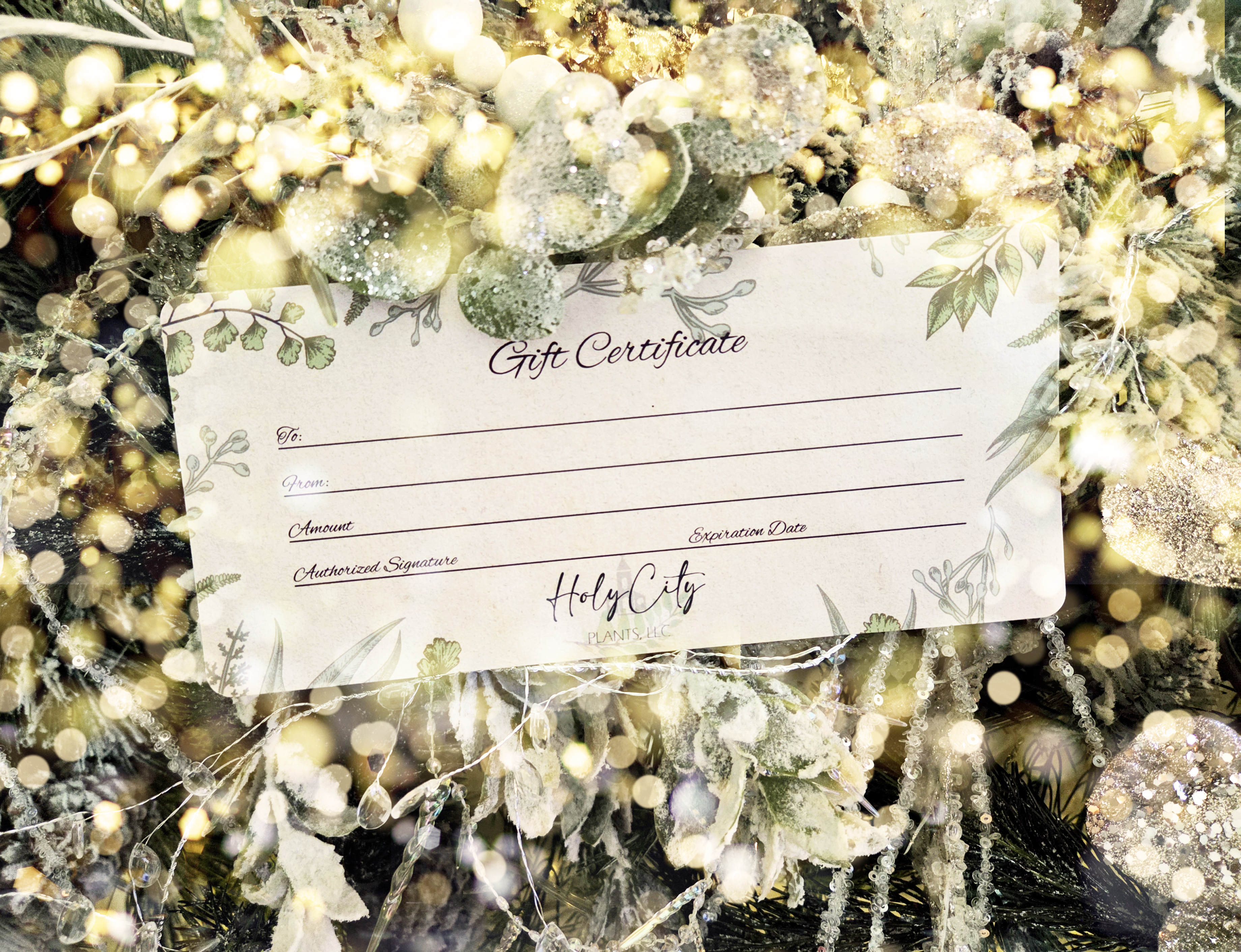 Black Friday Gift Certificate $100