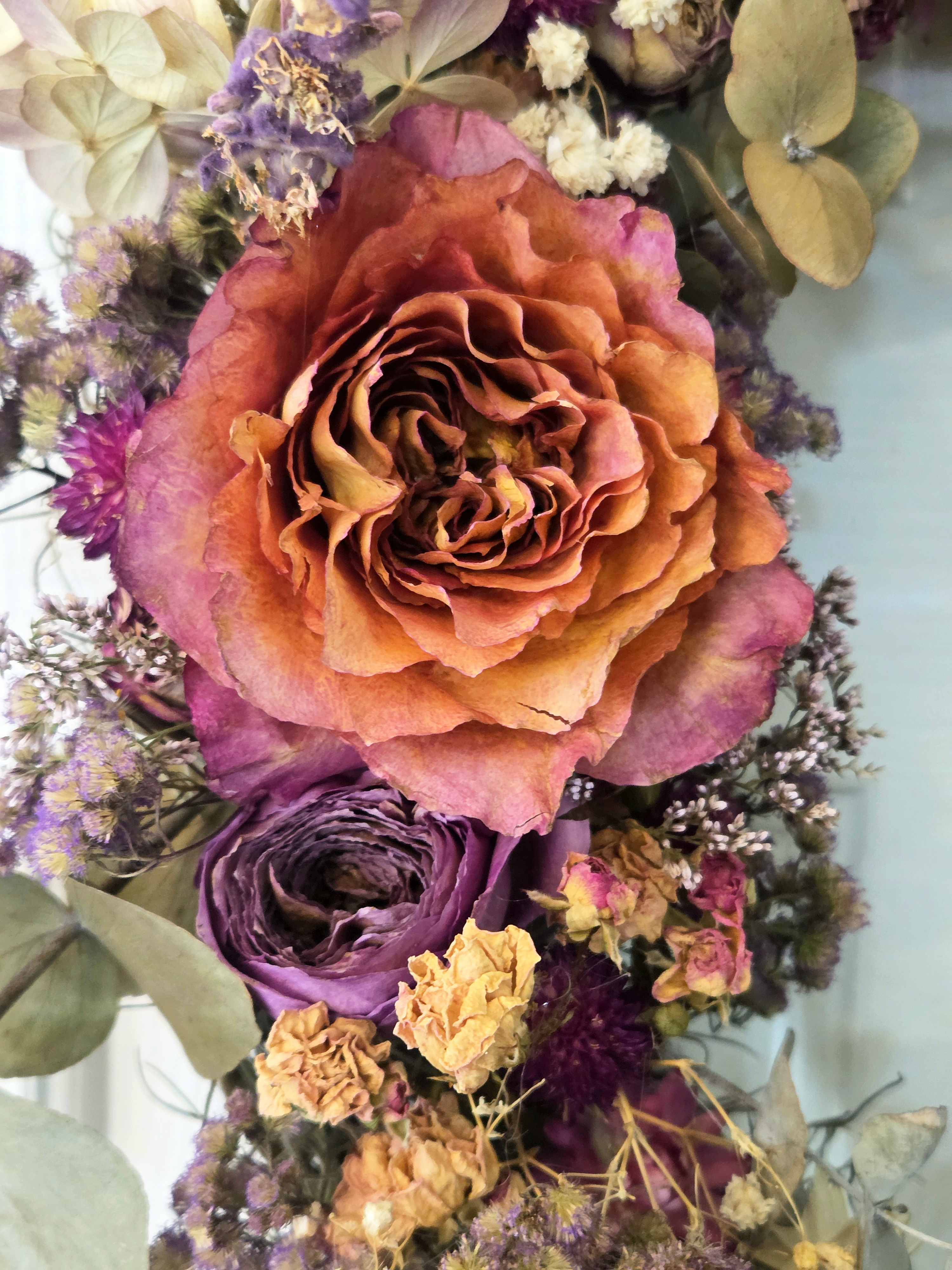 Dried Floral Everlasting Rose Wreath G