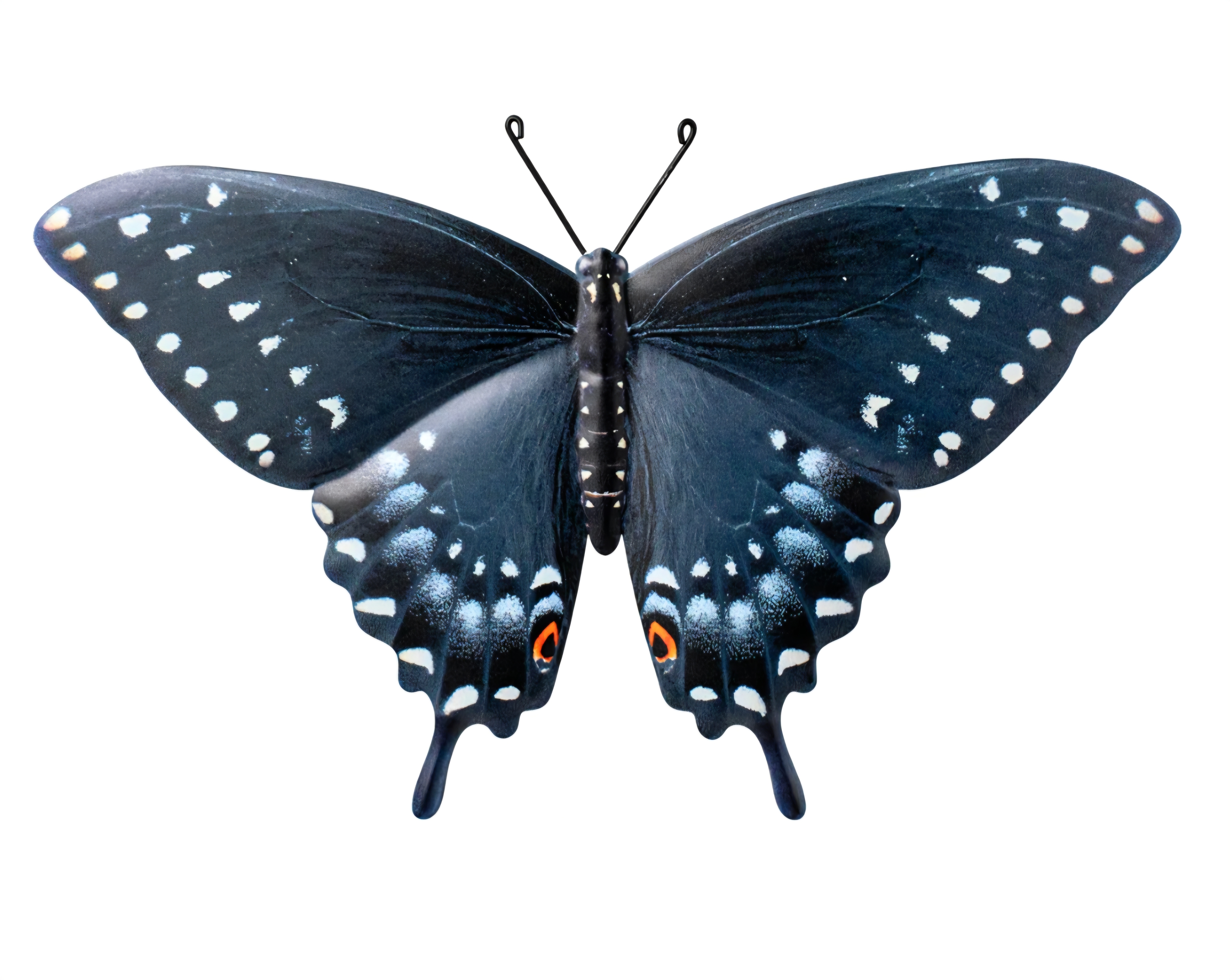 13" Metal Eastern Black Swallowtail Butterfly