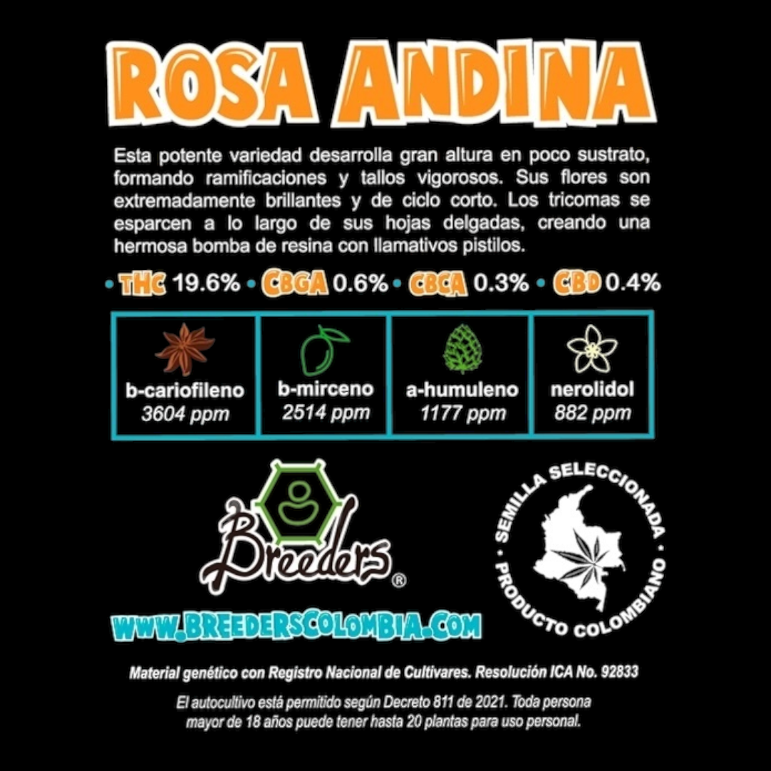 Semillas Breeders Rosa Andina