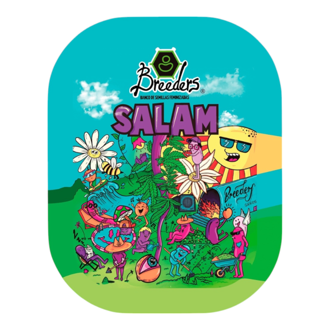 Semillas Breeders Salam