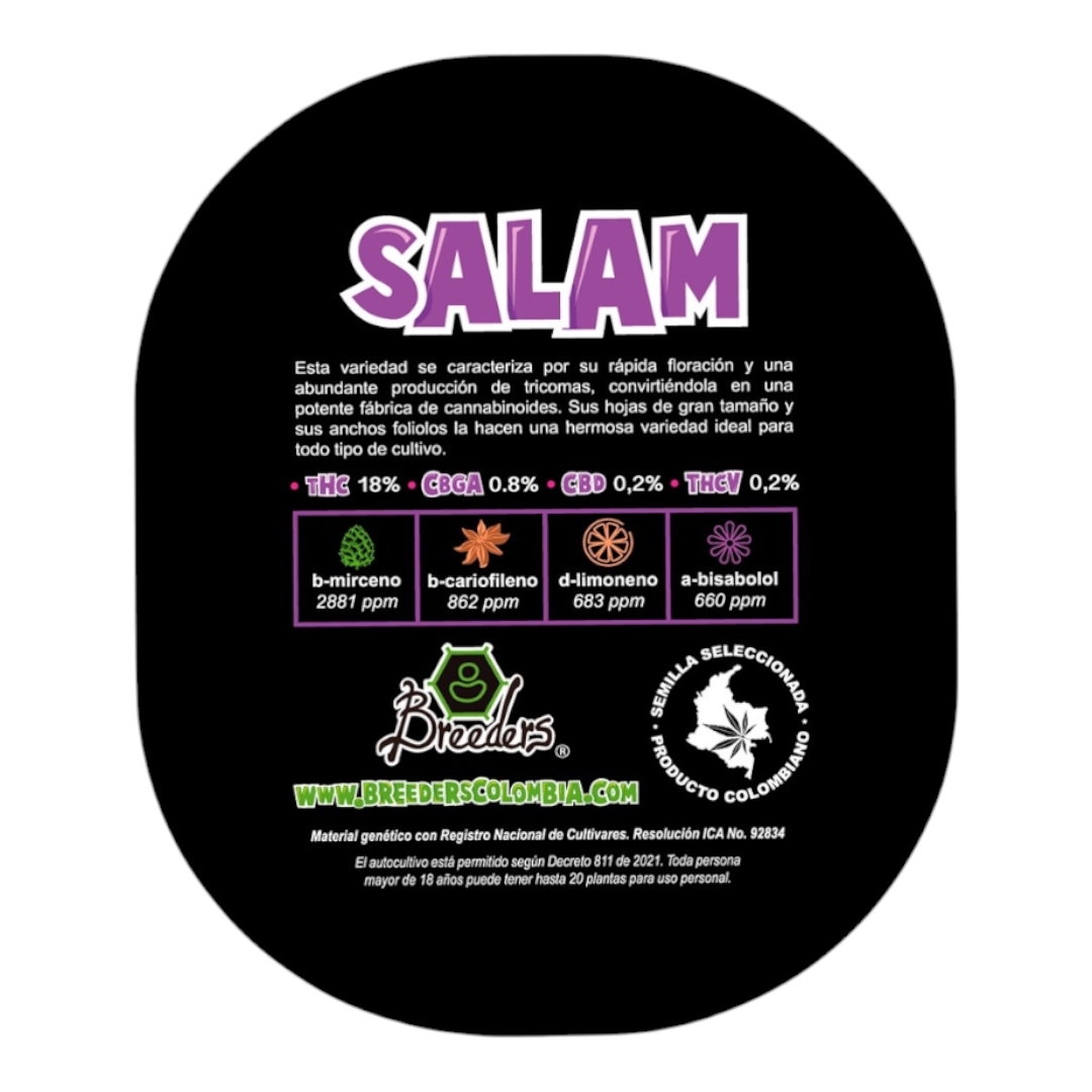 Semillas Breeders Salam
