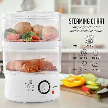 Electric Food Steamer
