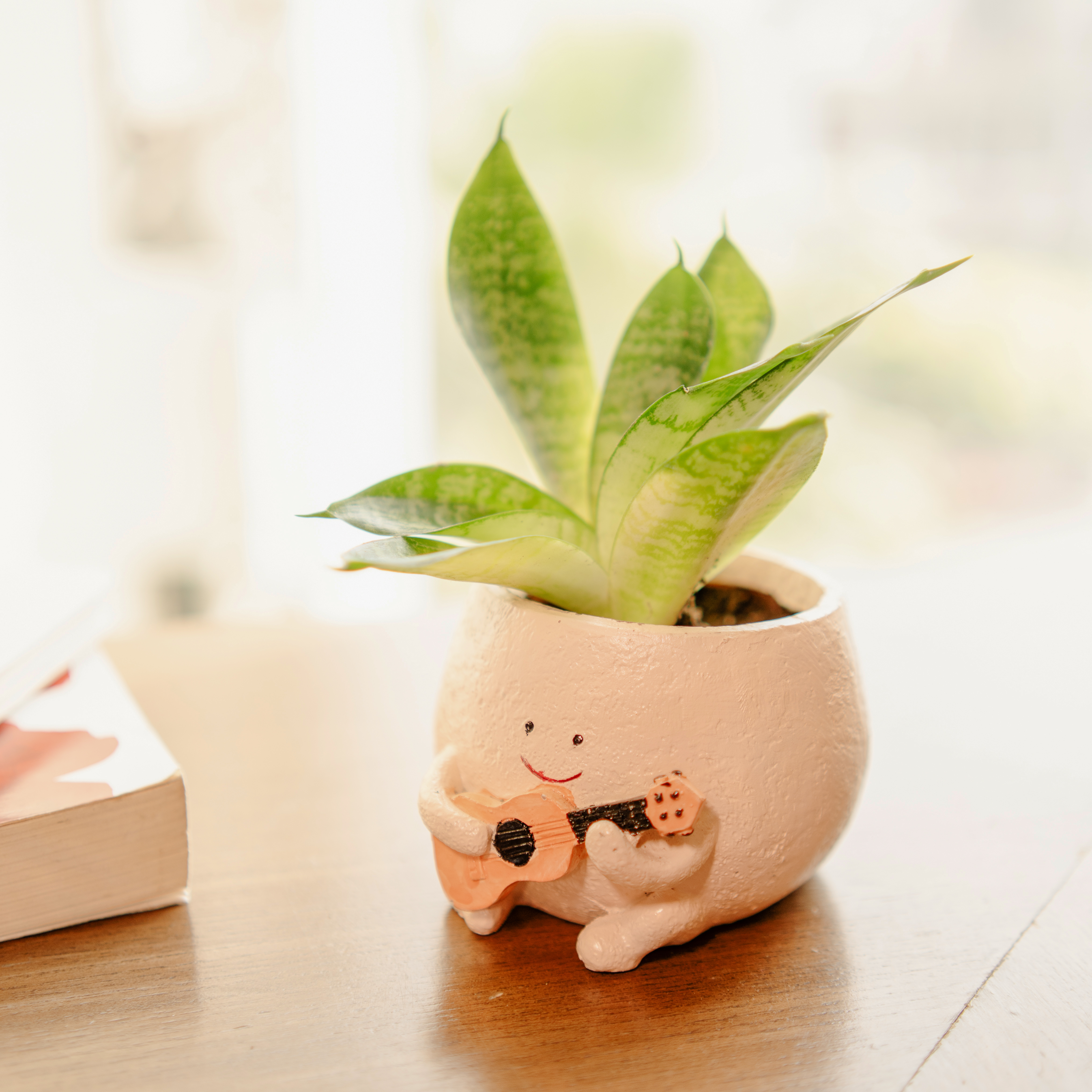 Artecasa The Jazzy Planter – Beige Resin Pot for Indoor Plants | Decorative Mini Planter for Succulents & Home Décor | 3 x 5 x 3 cm