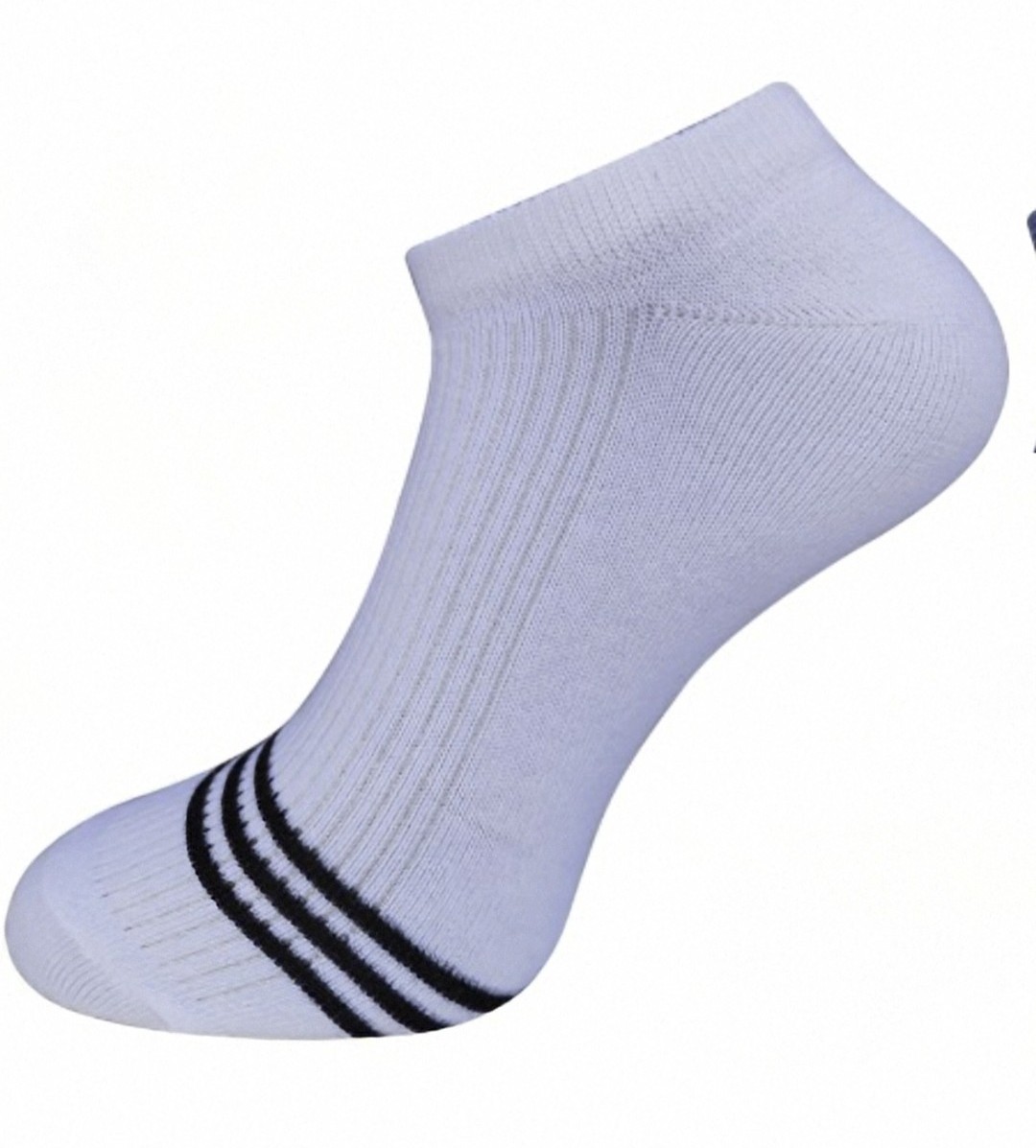 Cotton socks - No show - White - 