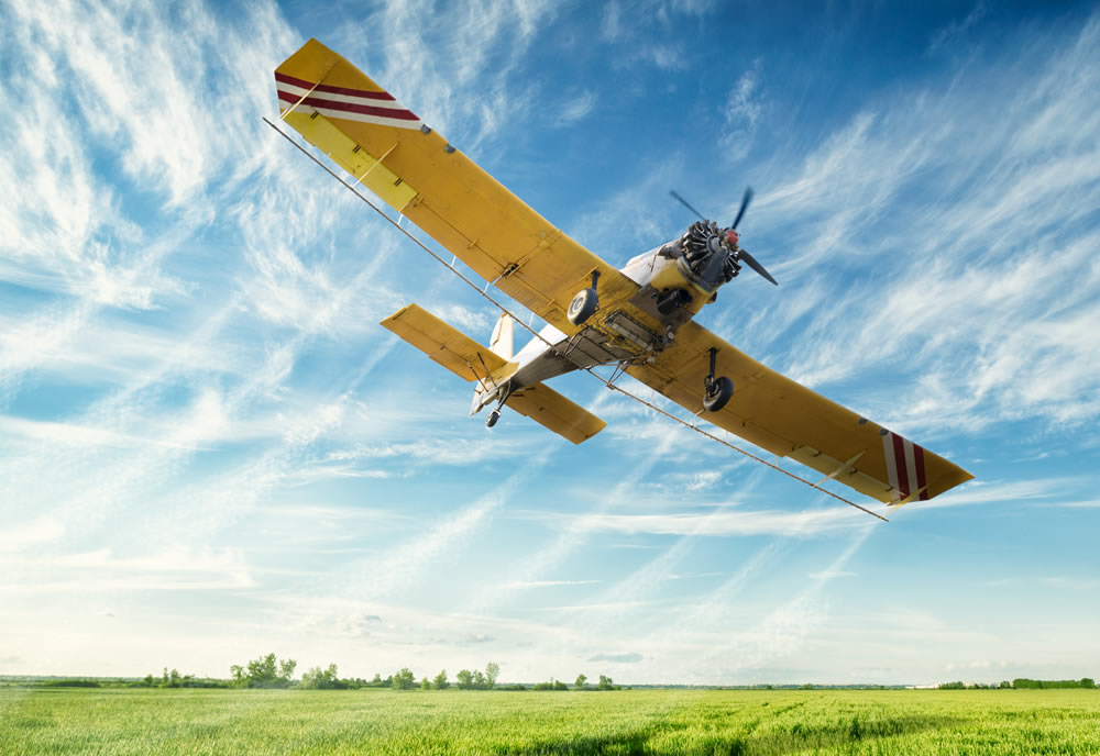 Principles of Flight - Teoria de Voo