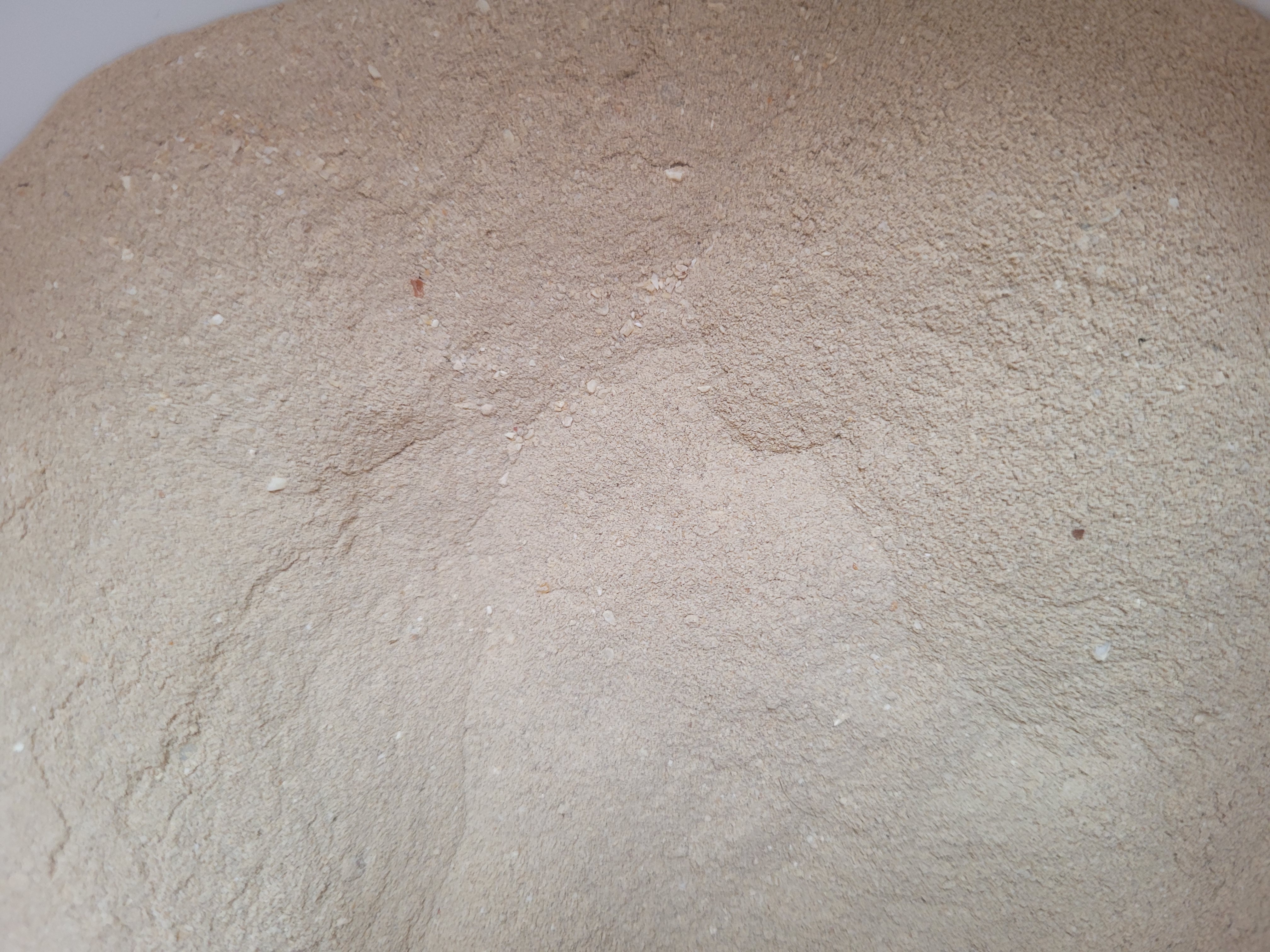 Farine d'arêtes de poisson