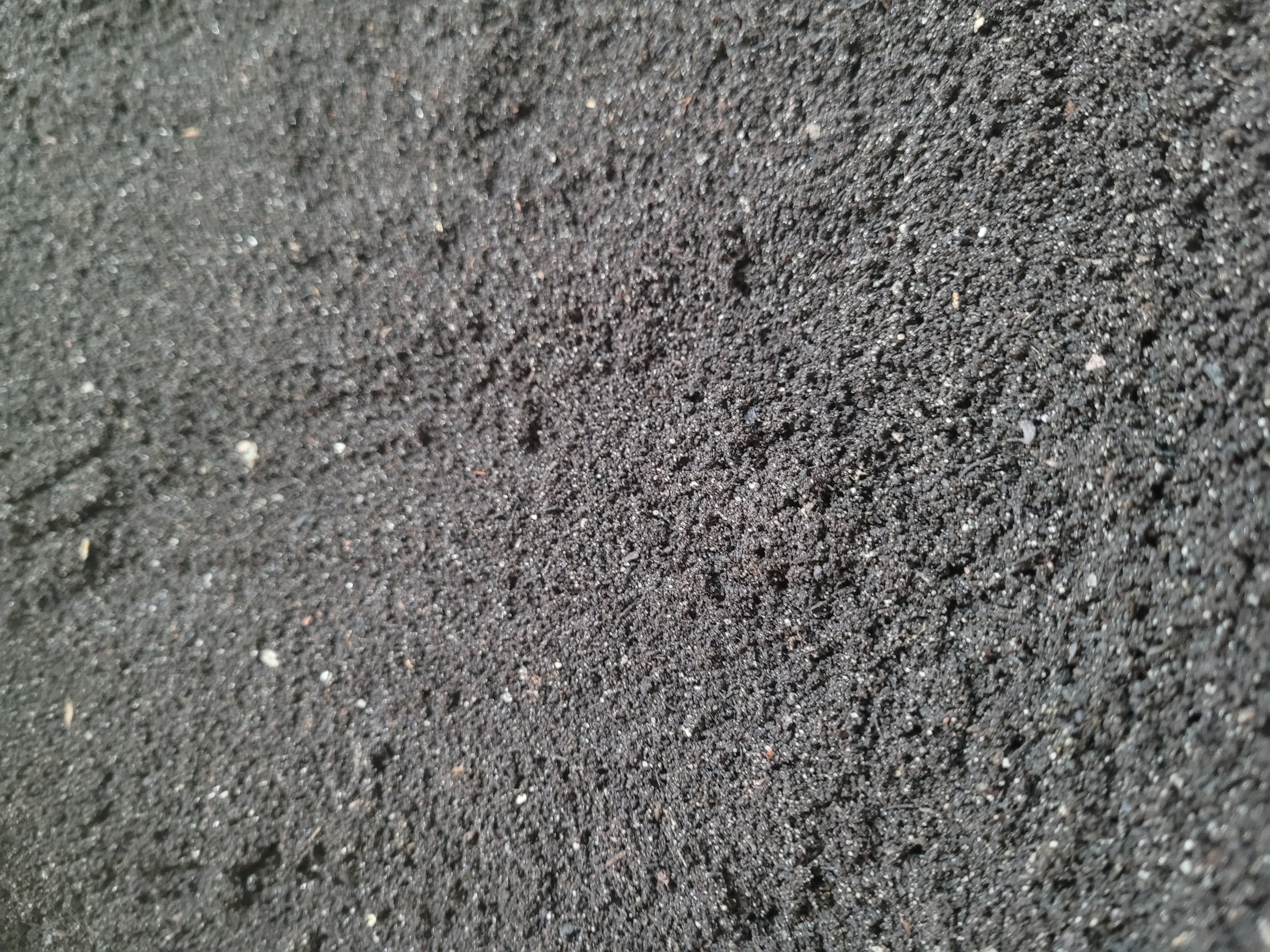 Primus - Terra (Amendement organique)