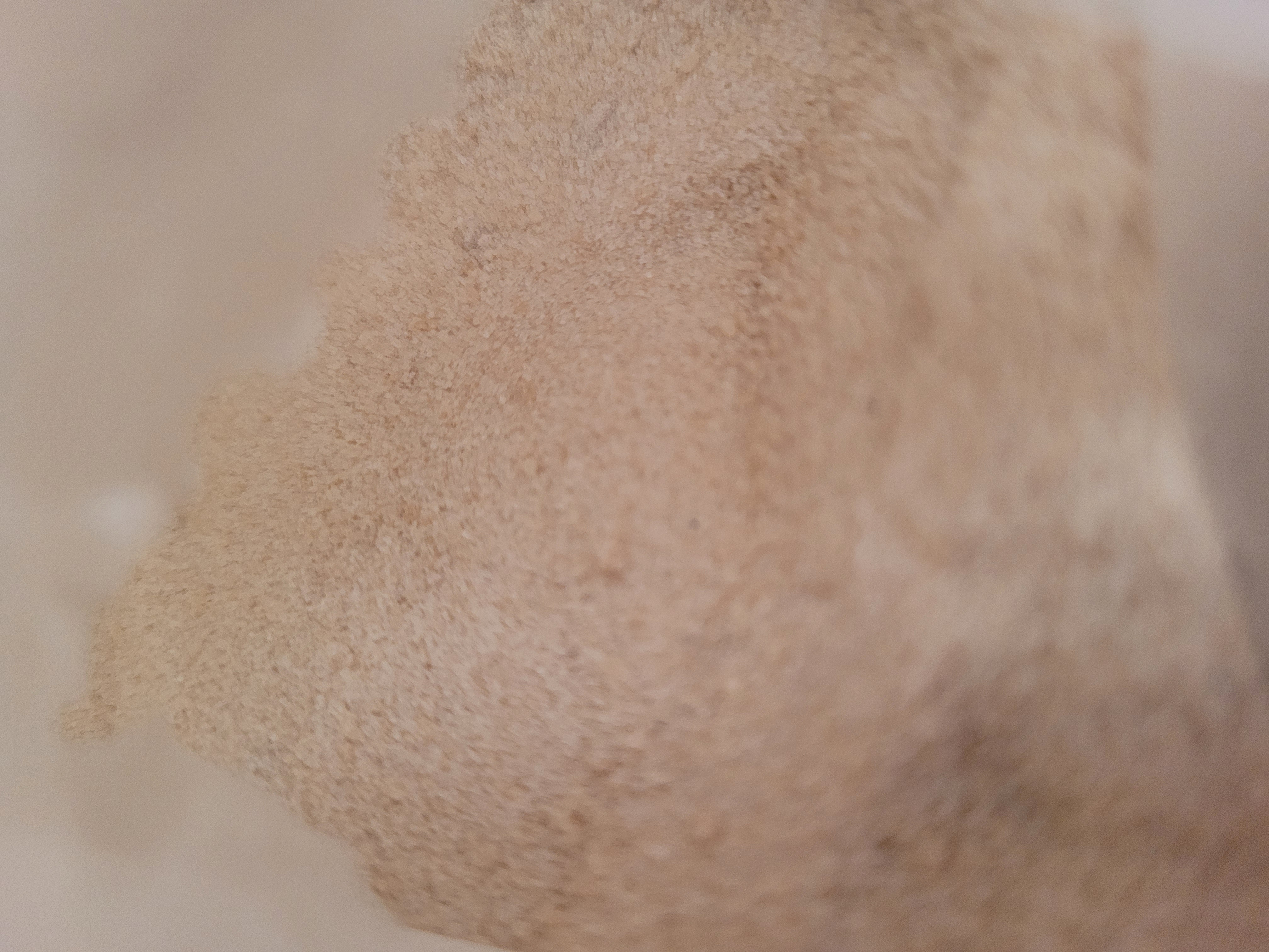 Vinasse de betterave