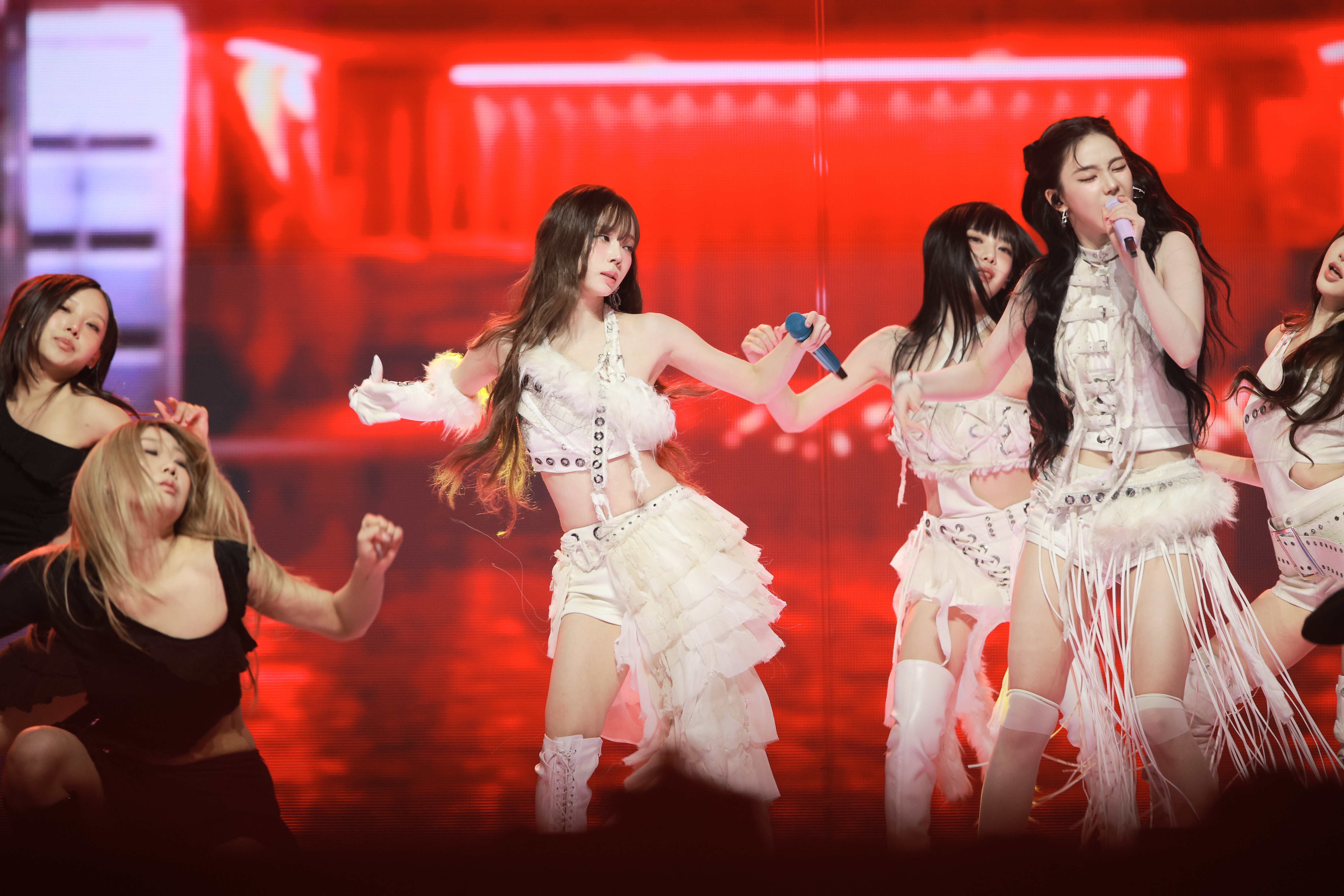 251219 Winter 818 pics