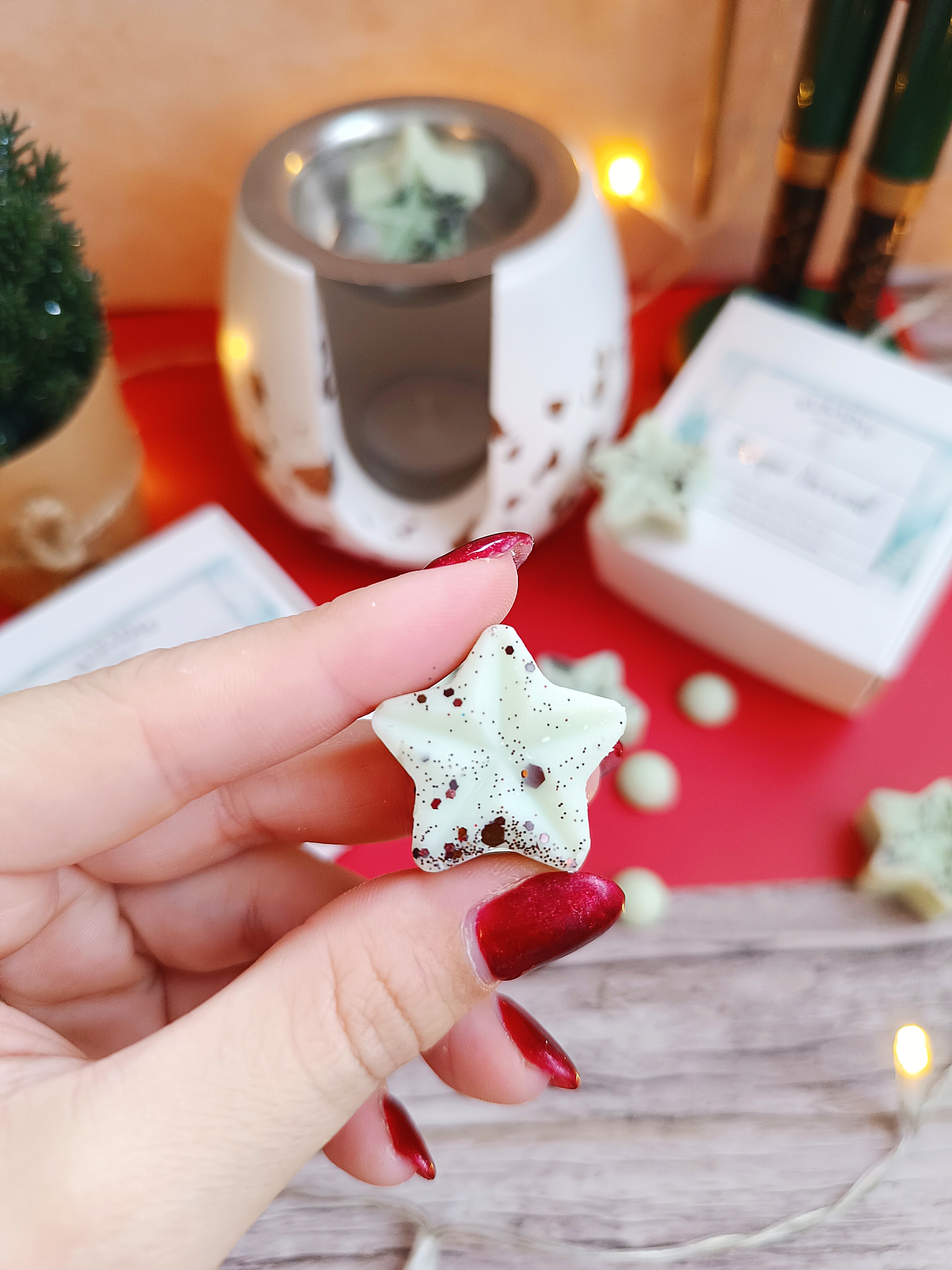 Wax Melts Bosque Invernal