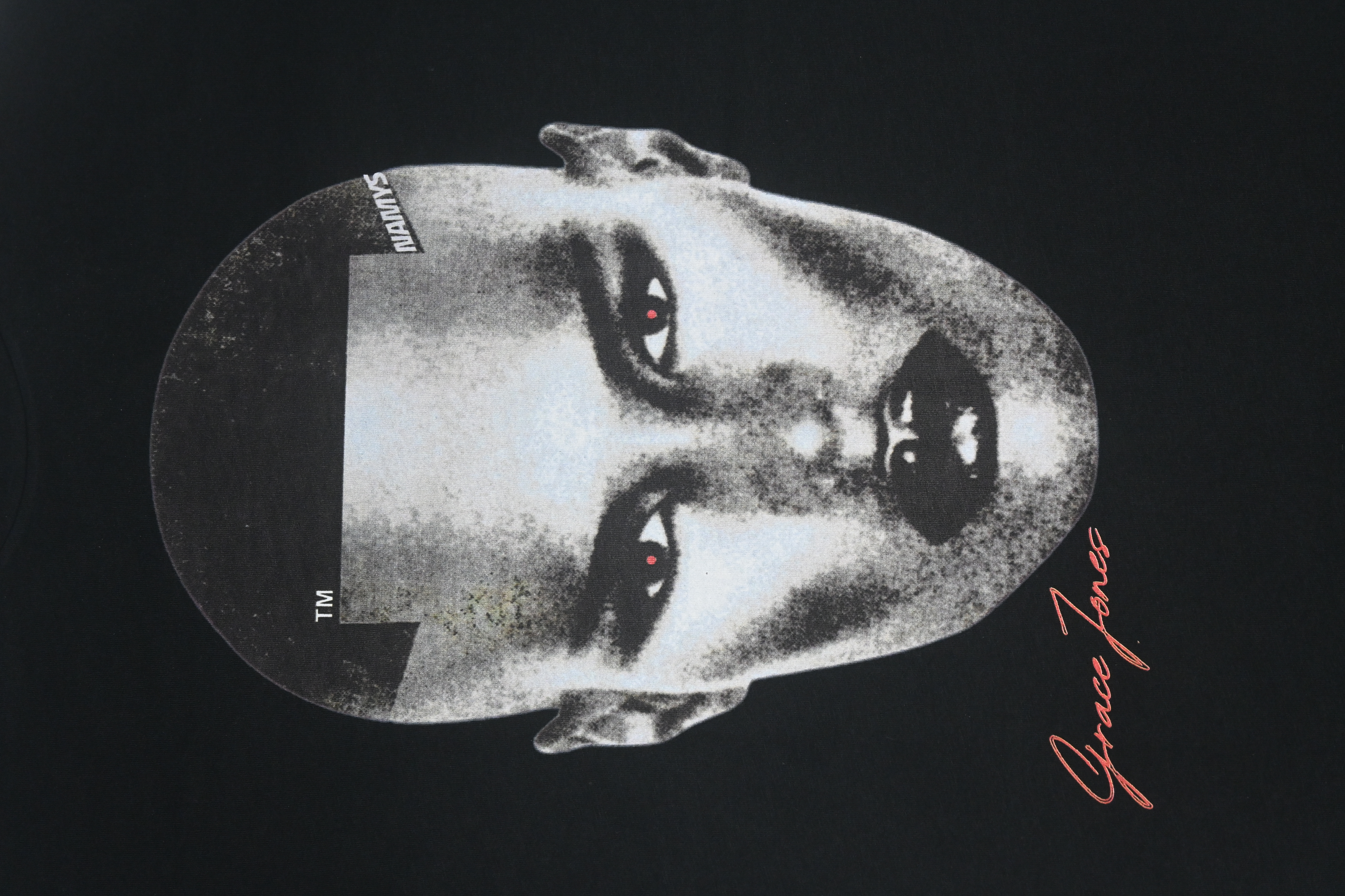 Grace Jones Portrait