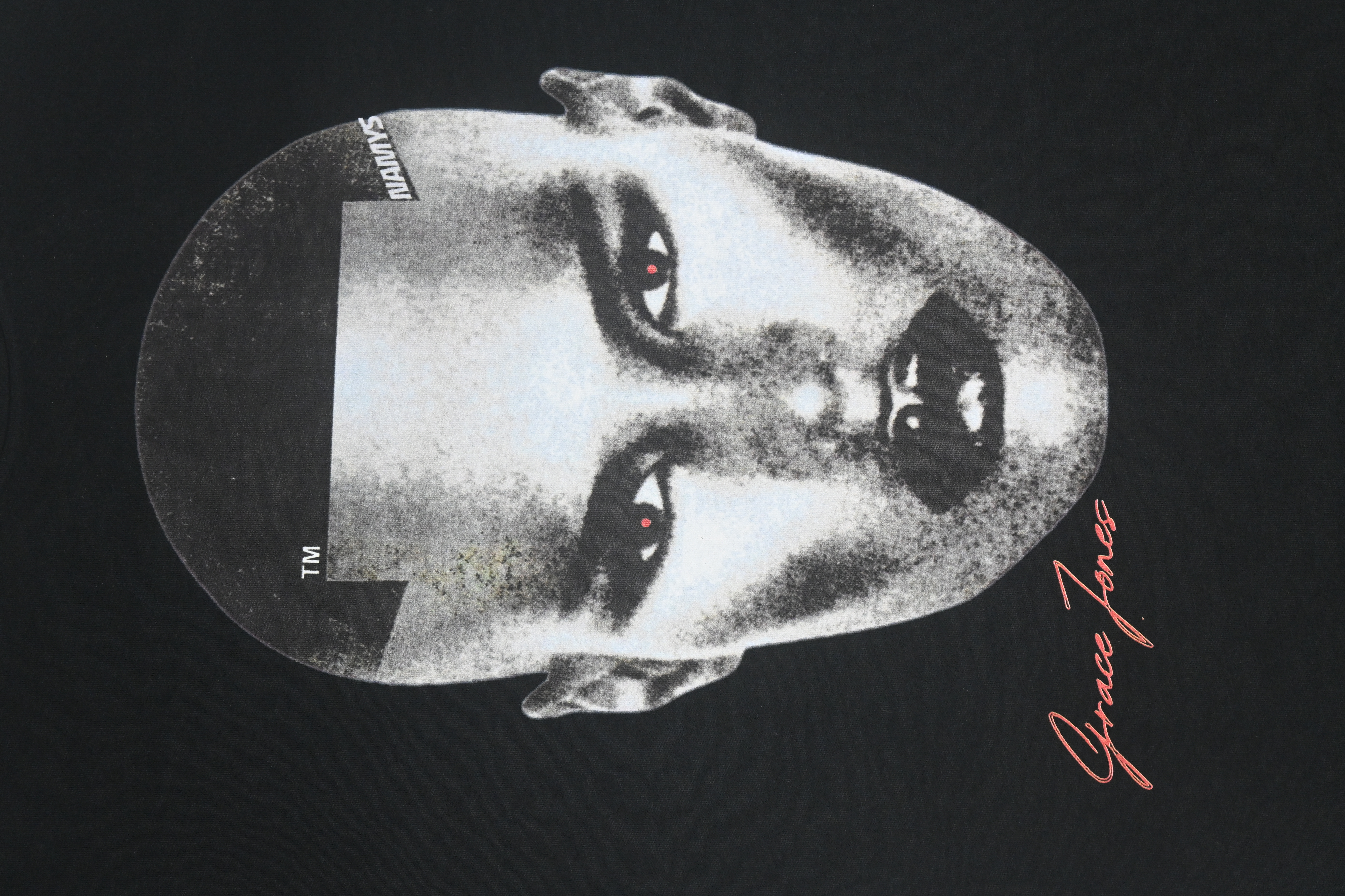 Grace Jones Portrait