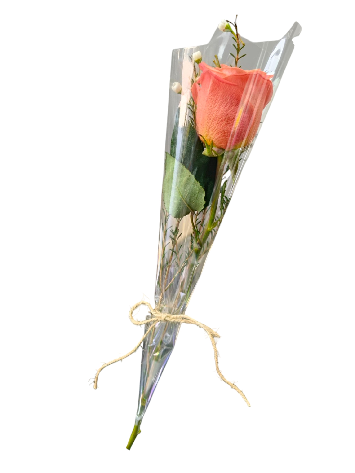 Single Orange Rose