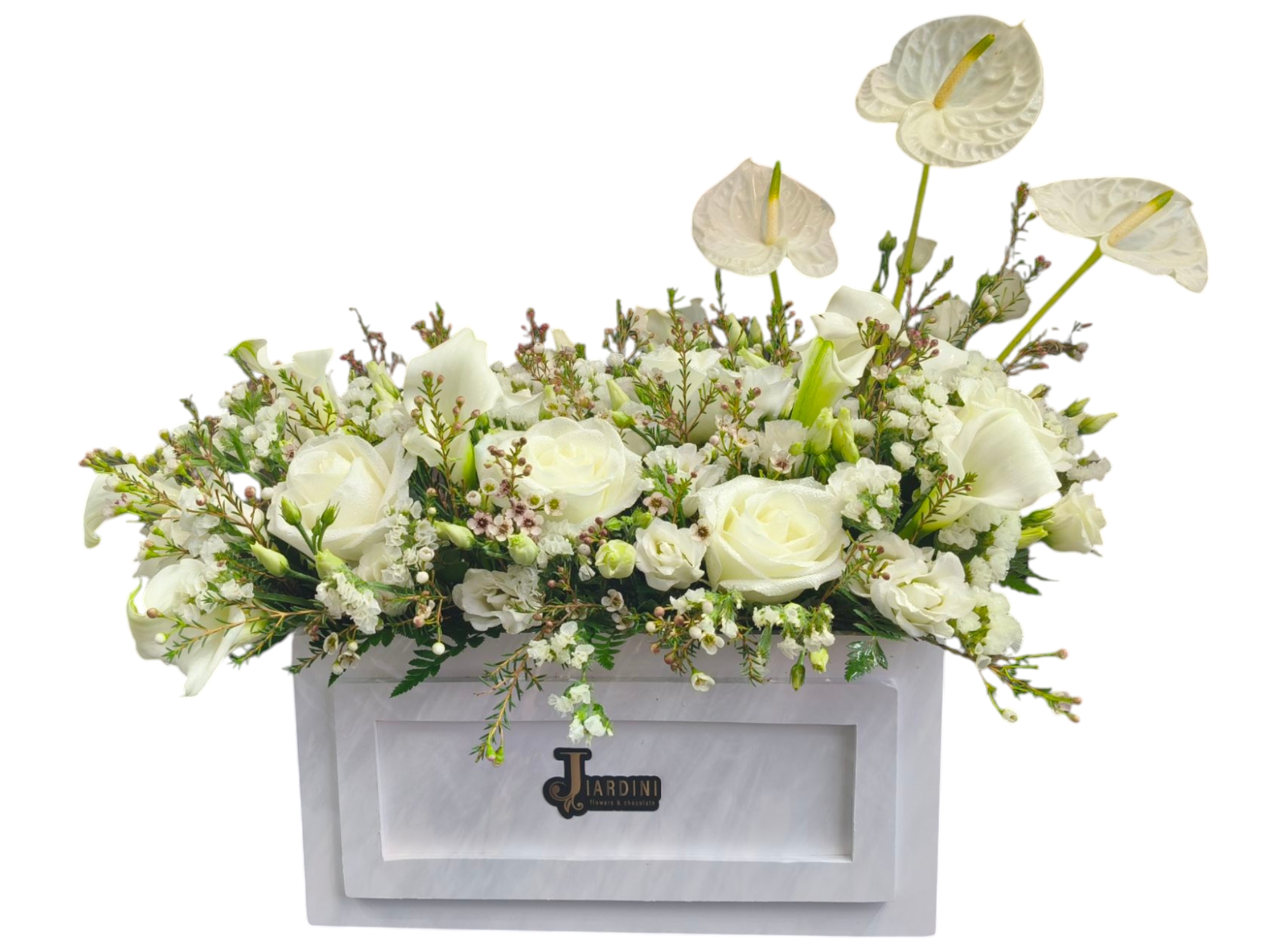 VelvetLily Anthurium