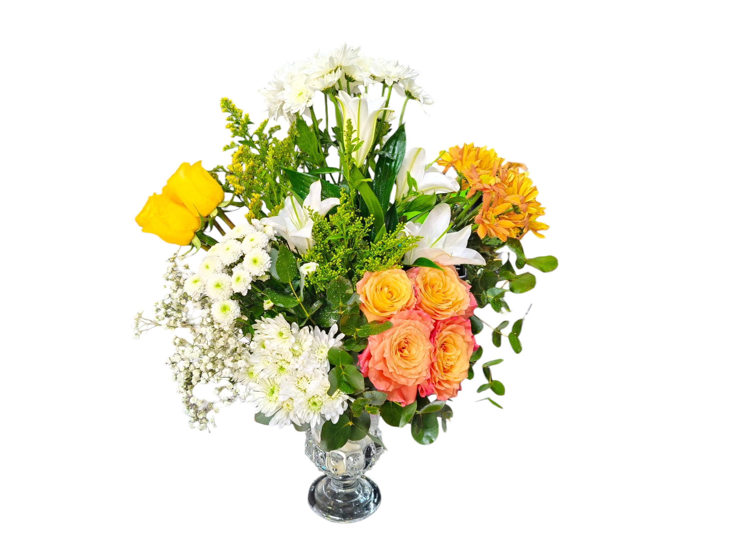 Citrus Delight Collection