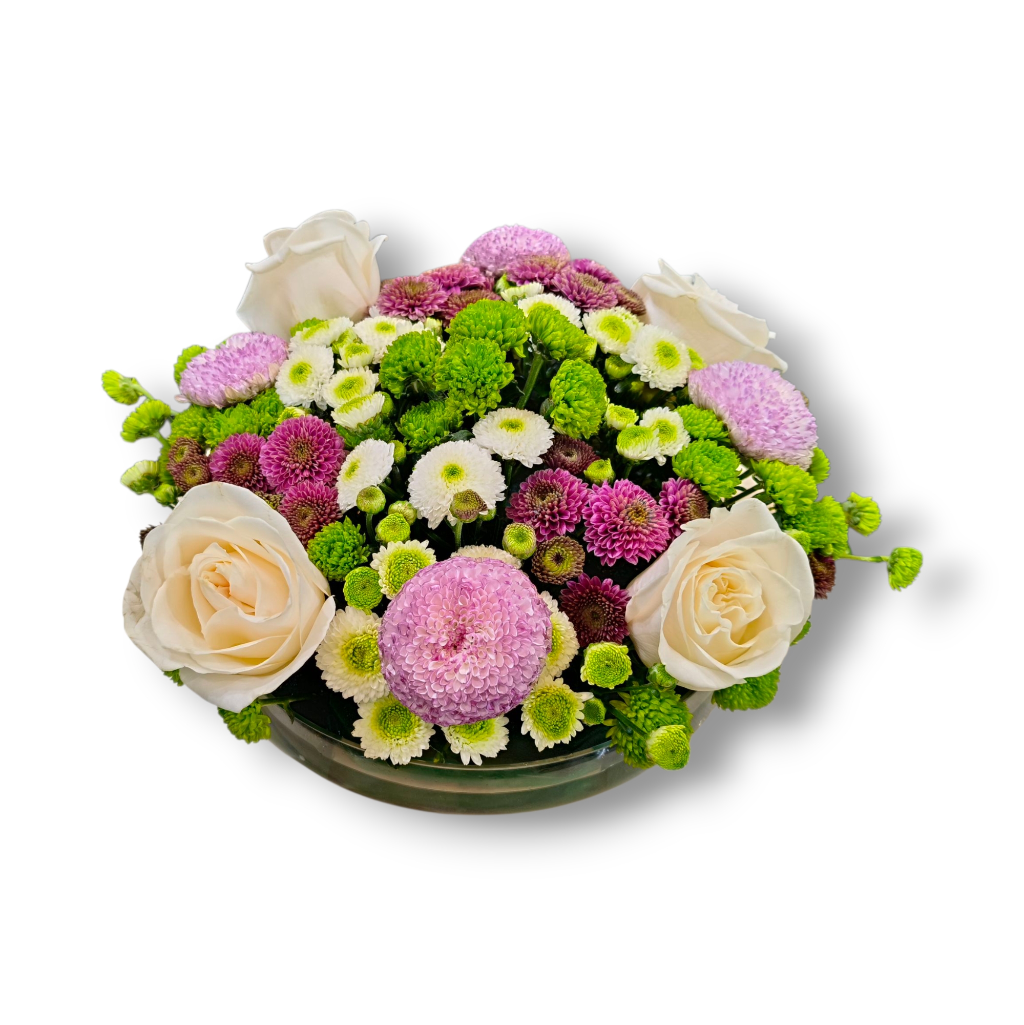 Chrysanthemum Dreamscape