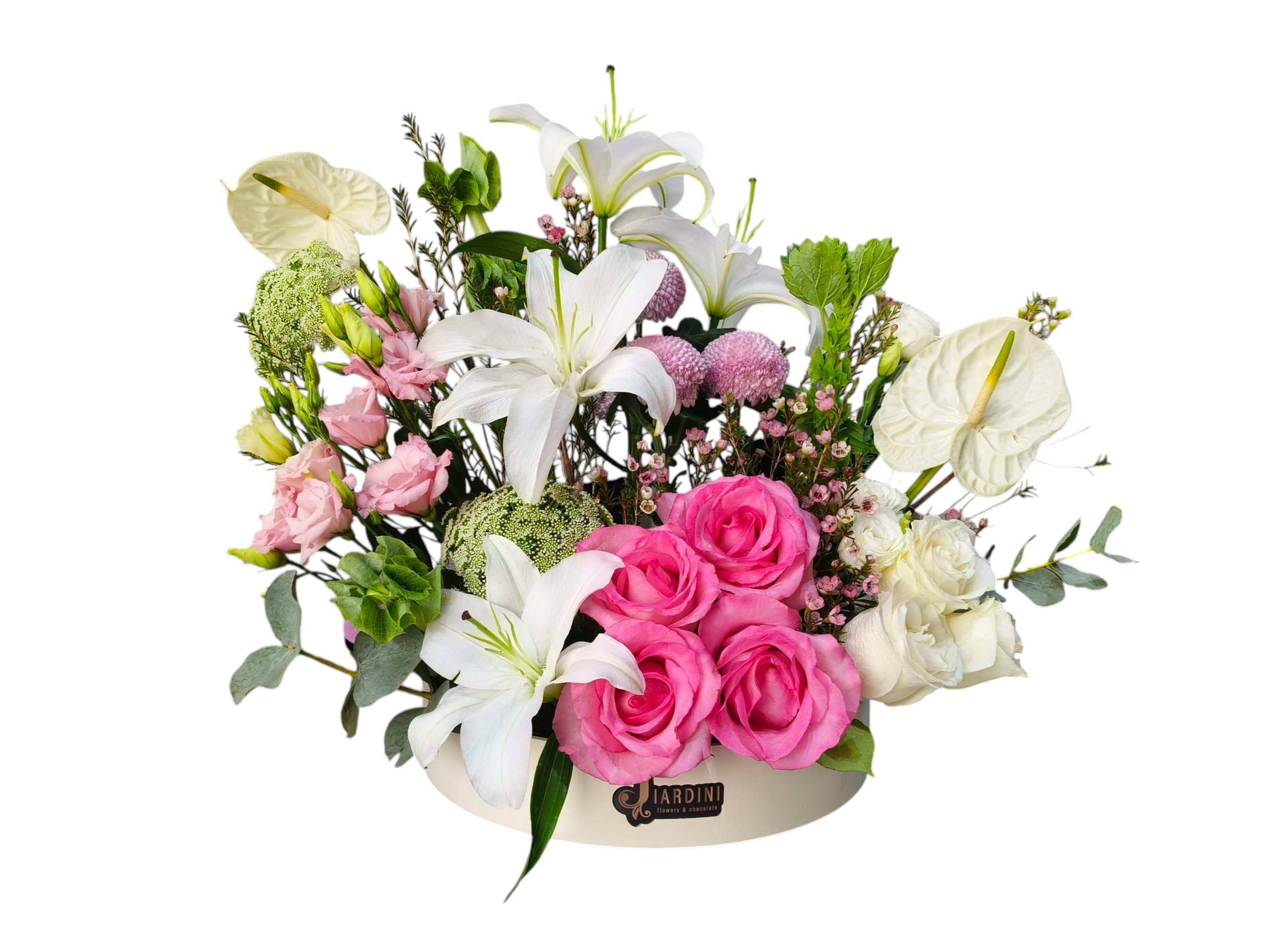 Radiant Garden Delight