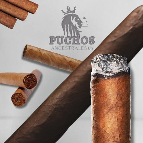Habano tipo Tayta Sayri 1x$250, 2x$400!