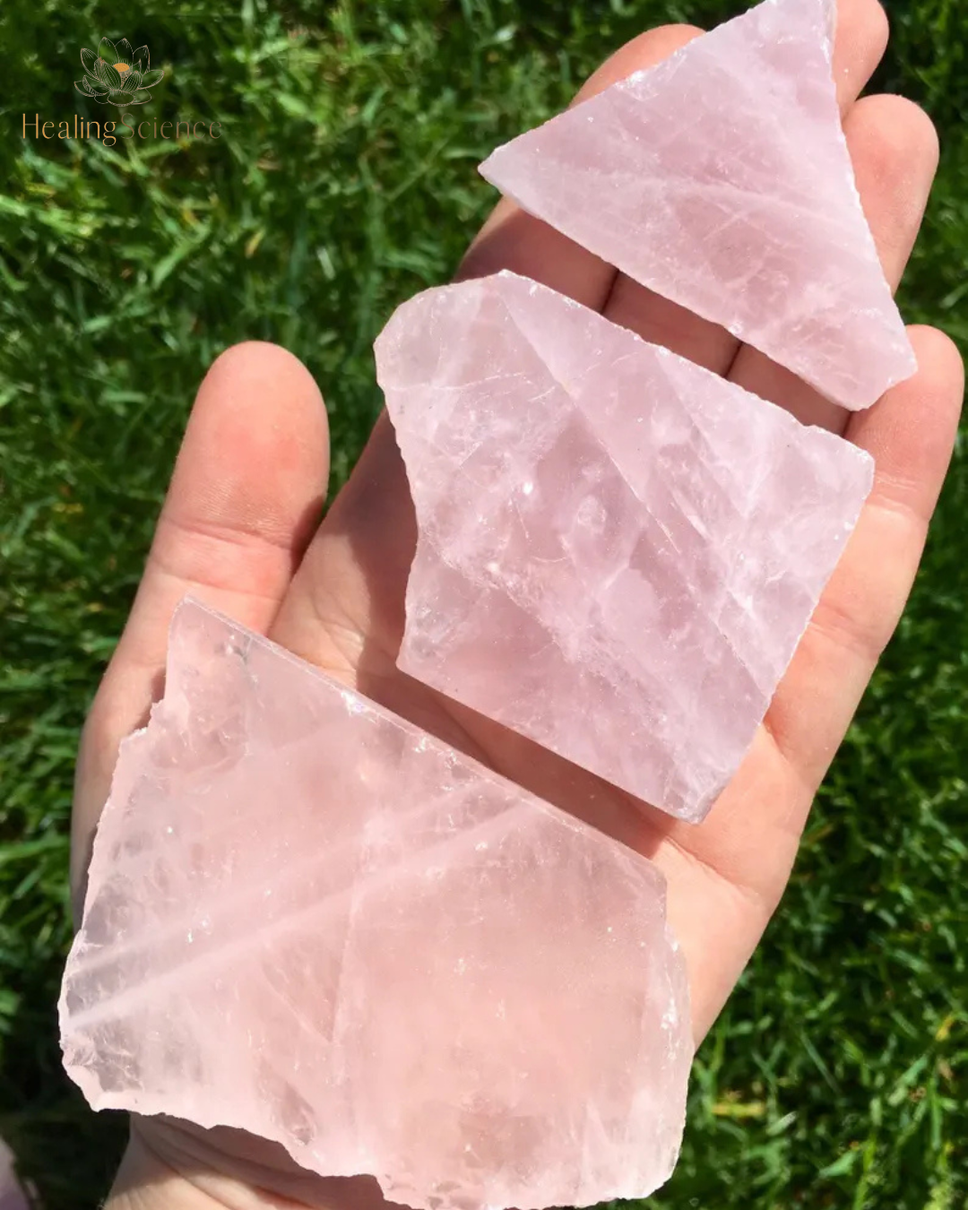 Raw Rose Quartz Crystals