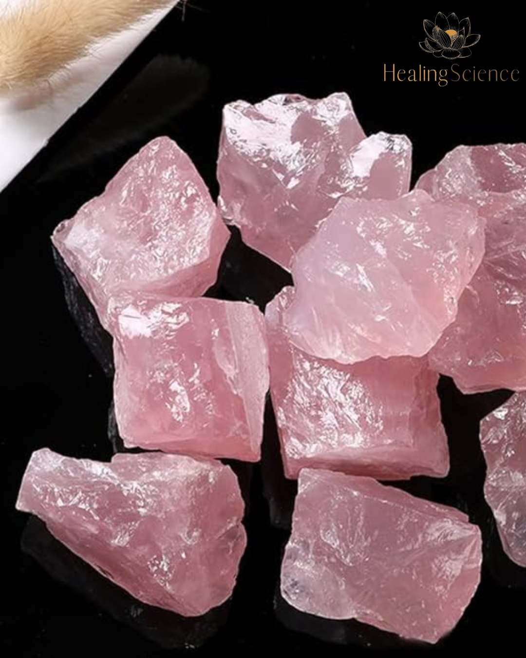 Raw Rose Quartz Crystals