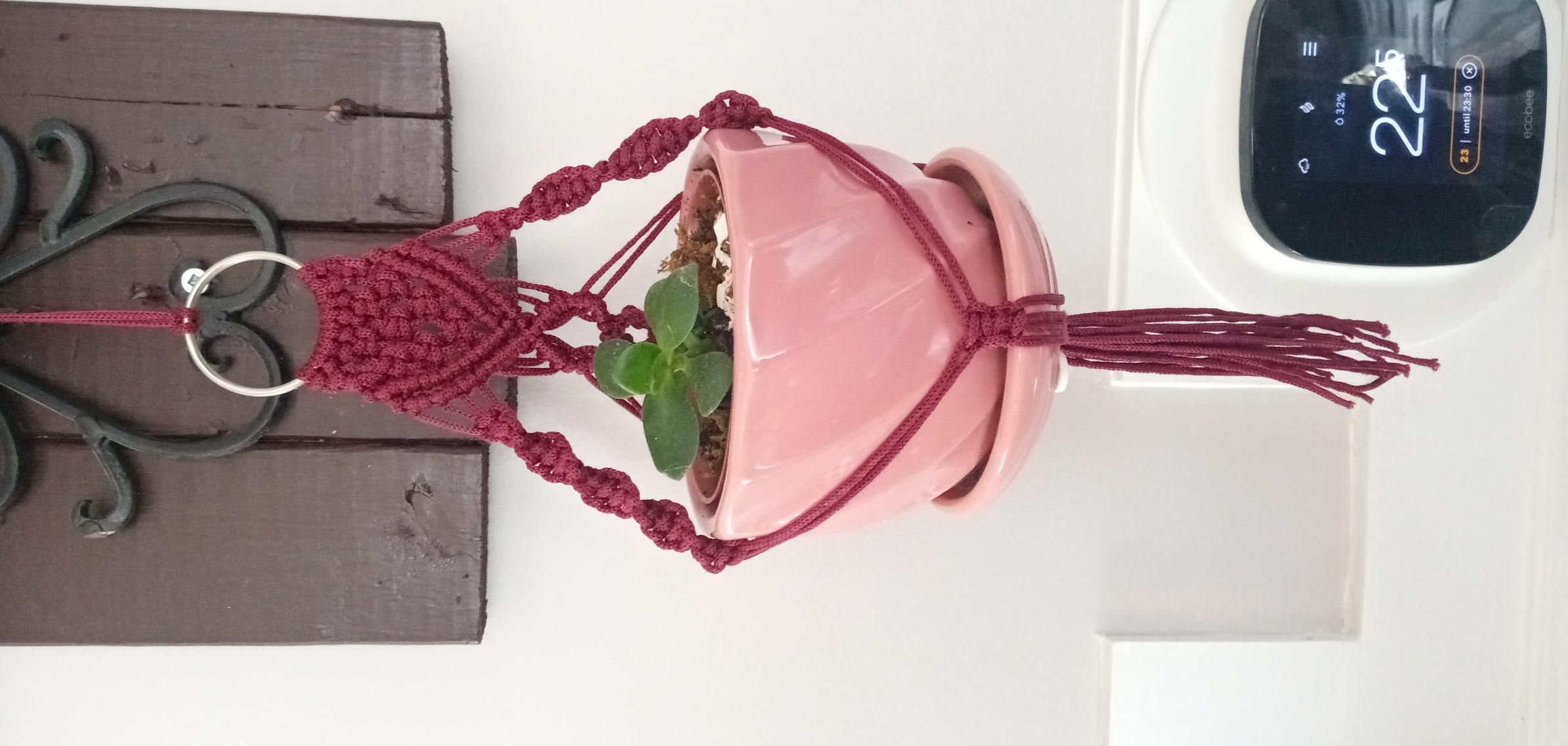 Hanging planters V.1