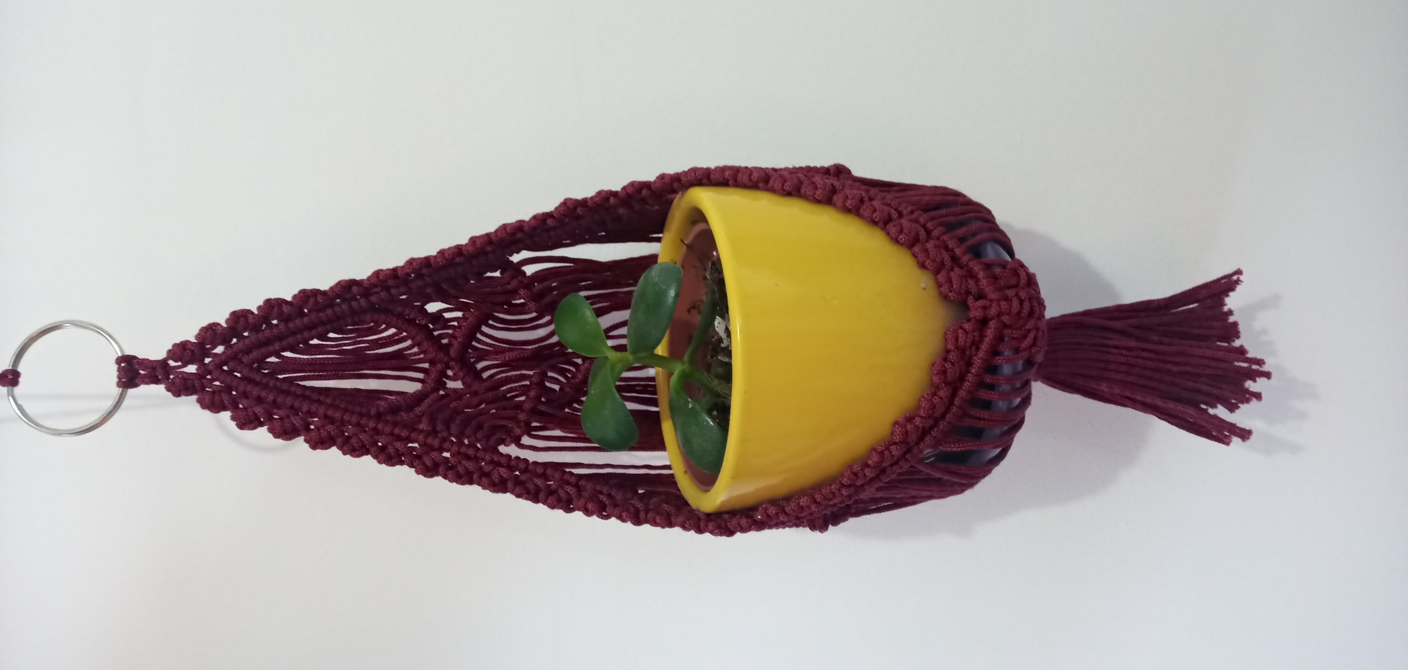 Hanging planters v.2