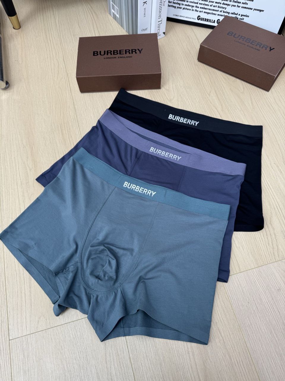 Boxer Briefs Burberry (3 per box)