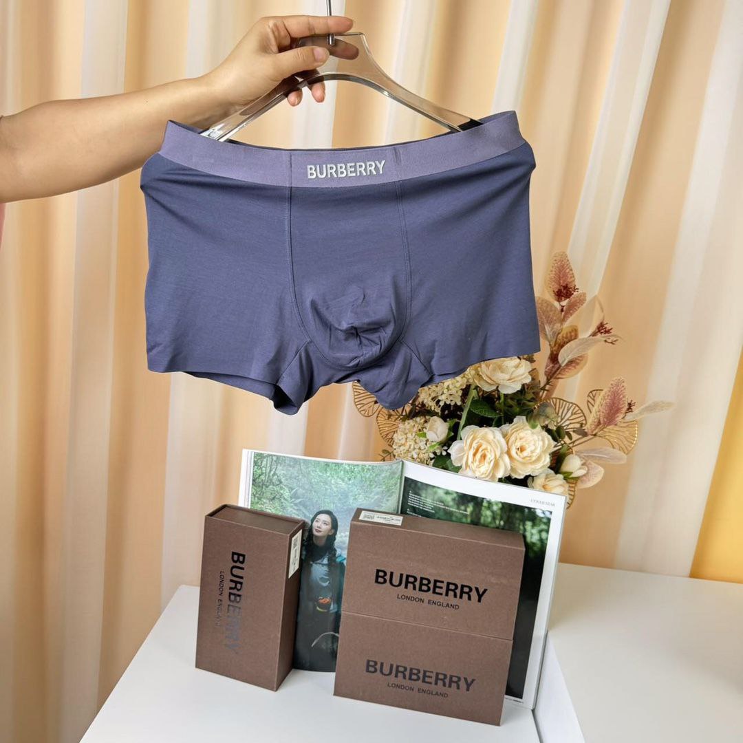 Boxer Briefs Burberry (3 per box)